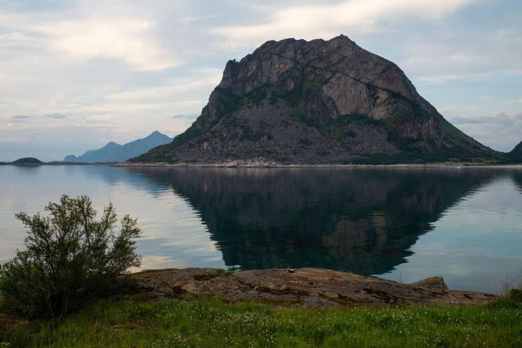 See Lofoten mountains midnight sun and nothern lights in Steigen view 5