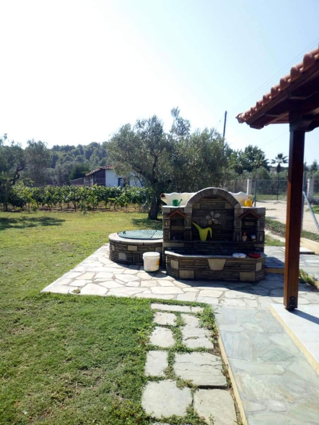 Photo 46