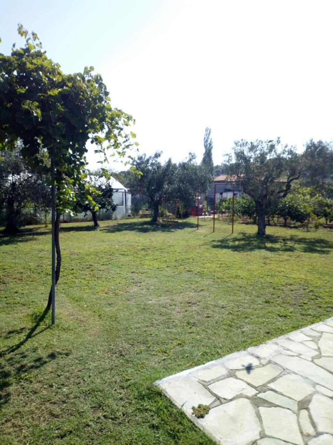 Photo 43