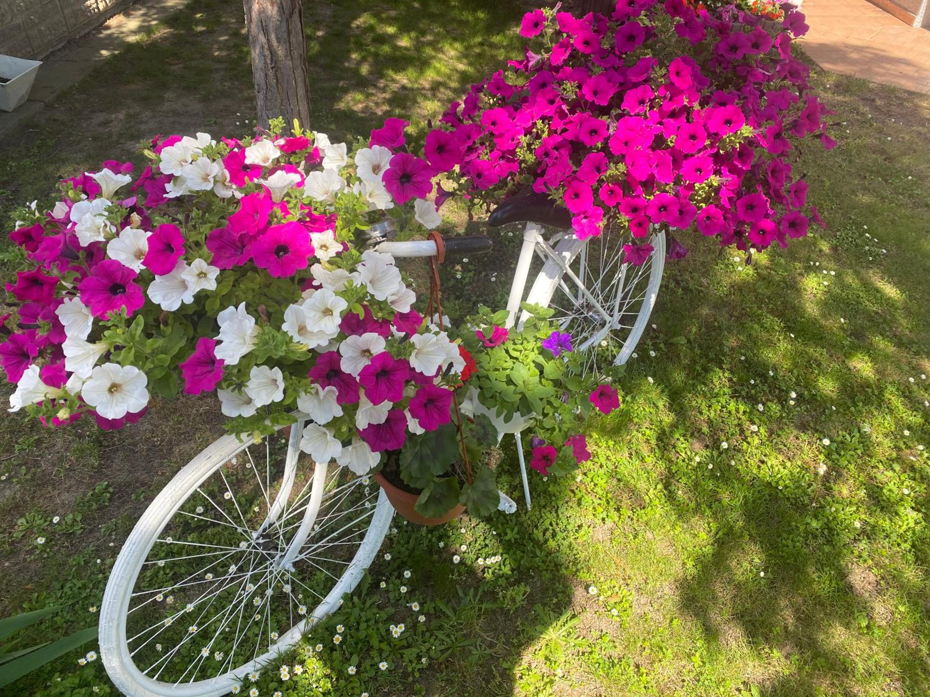 Photo 22