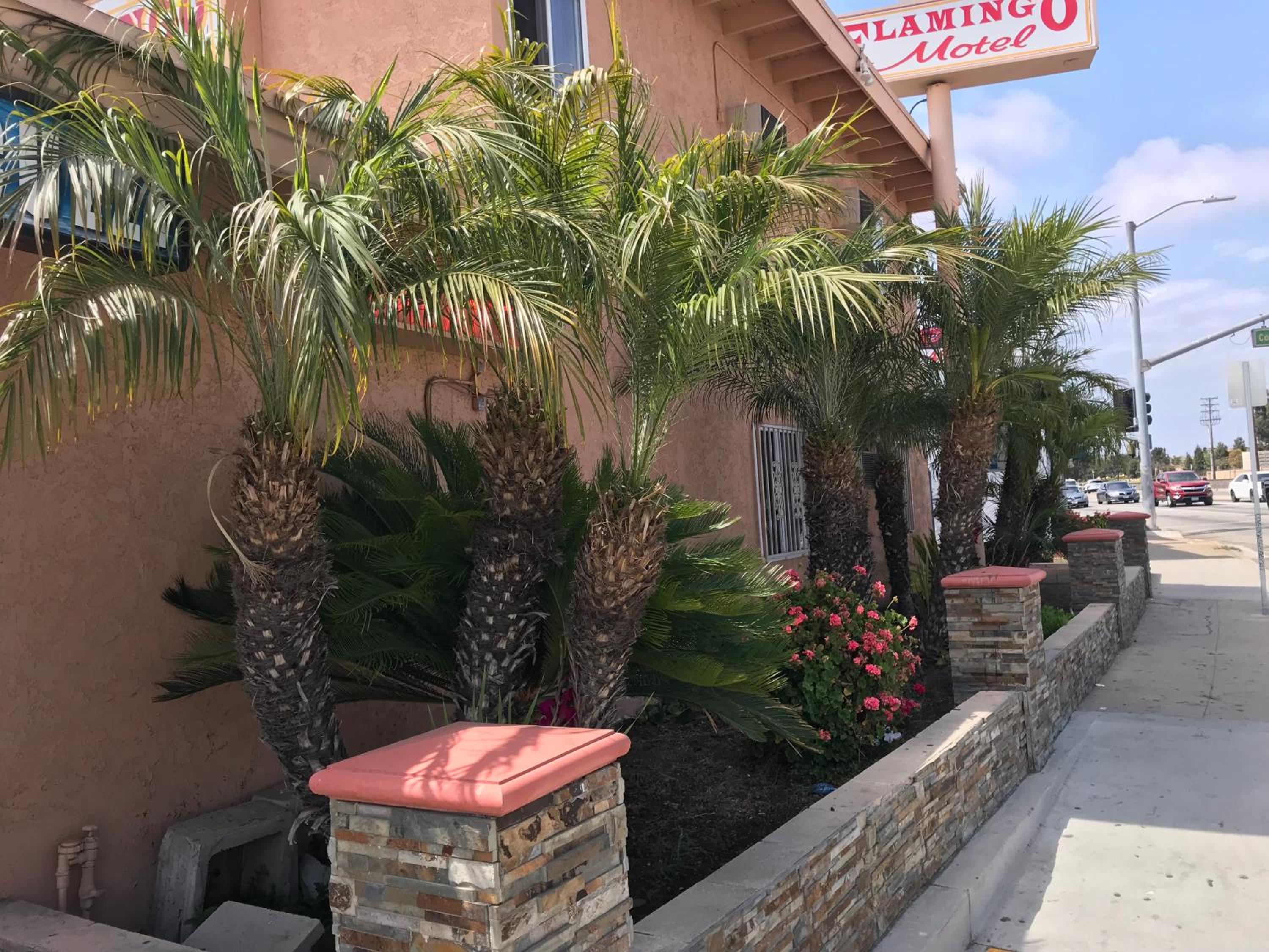 Flamingo Motel Oxnard