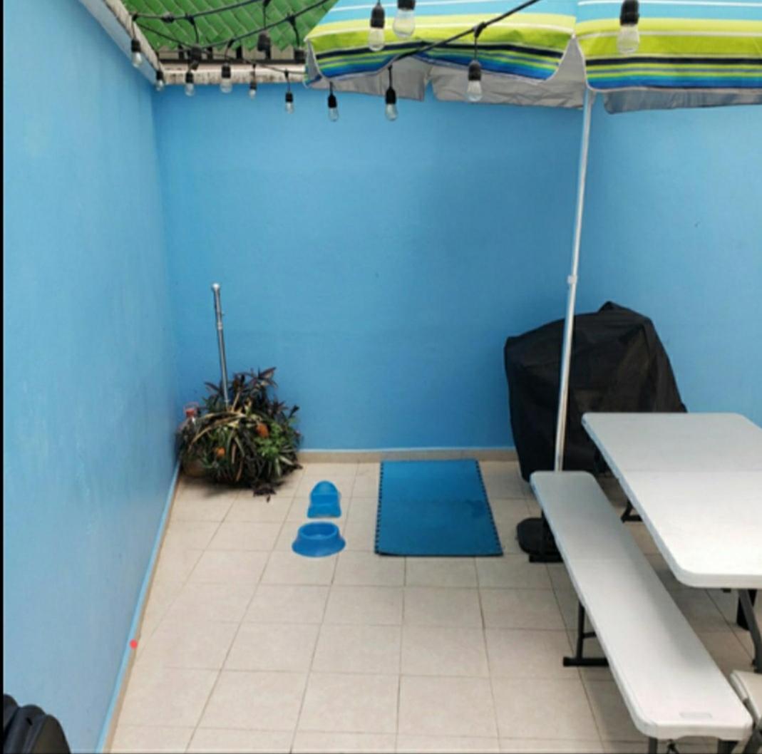 Terraza, Centrico WTC, Condesa, pet friendly photo 4