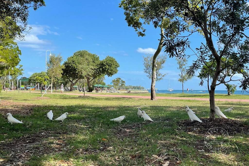 Breezy Blue on Bribie