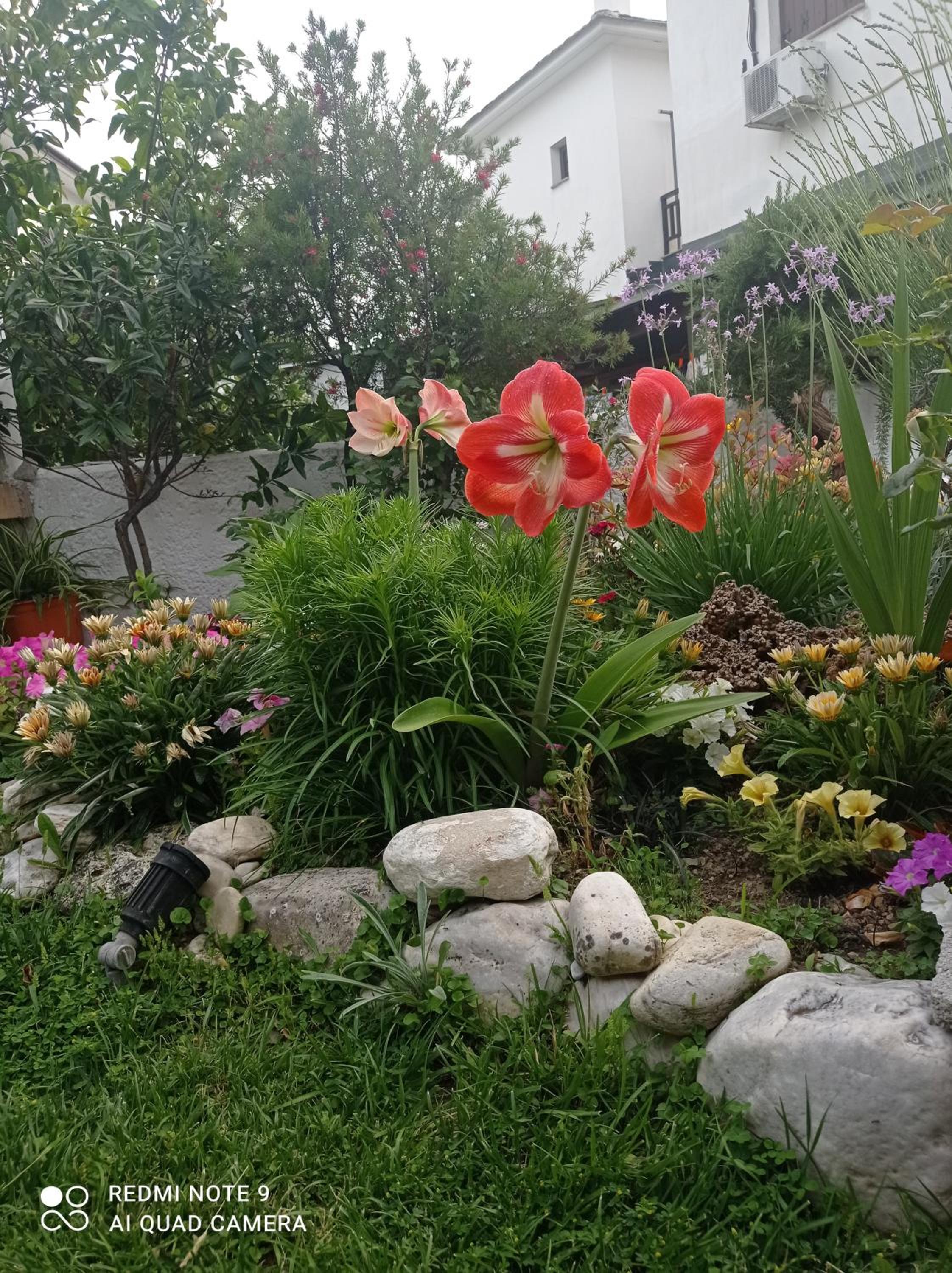 Photo 27
