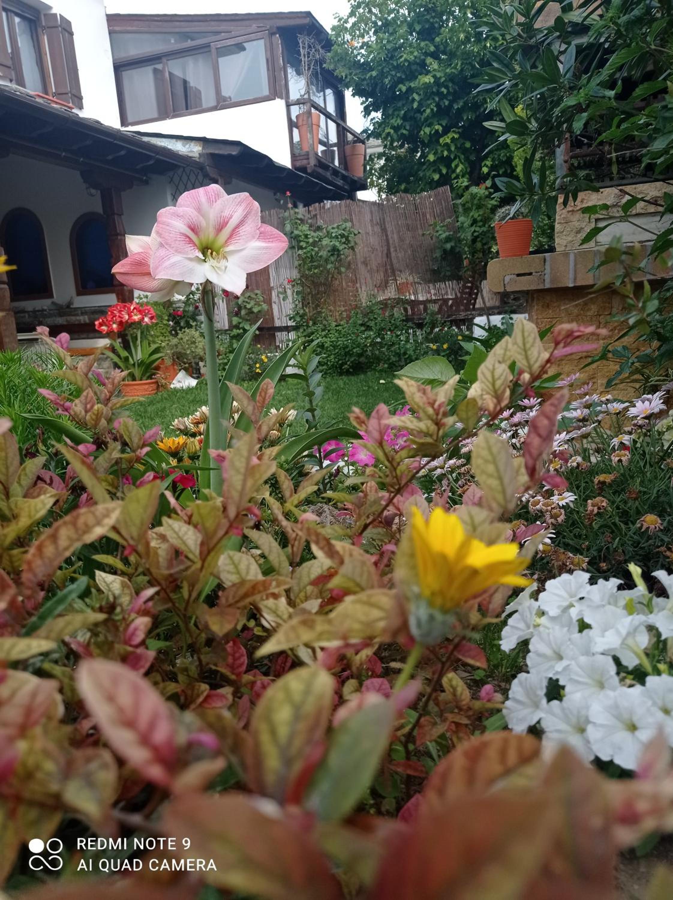 Photo 28