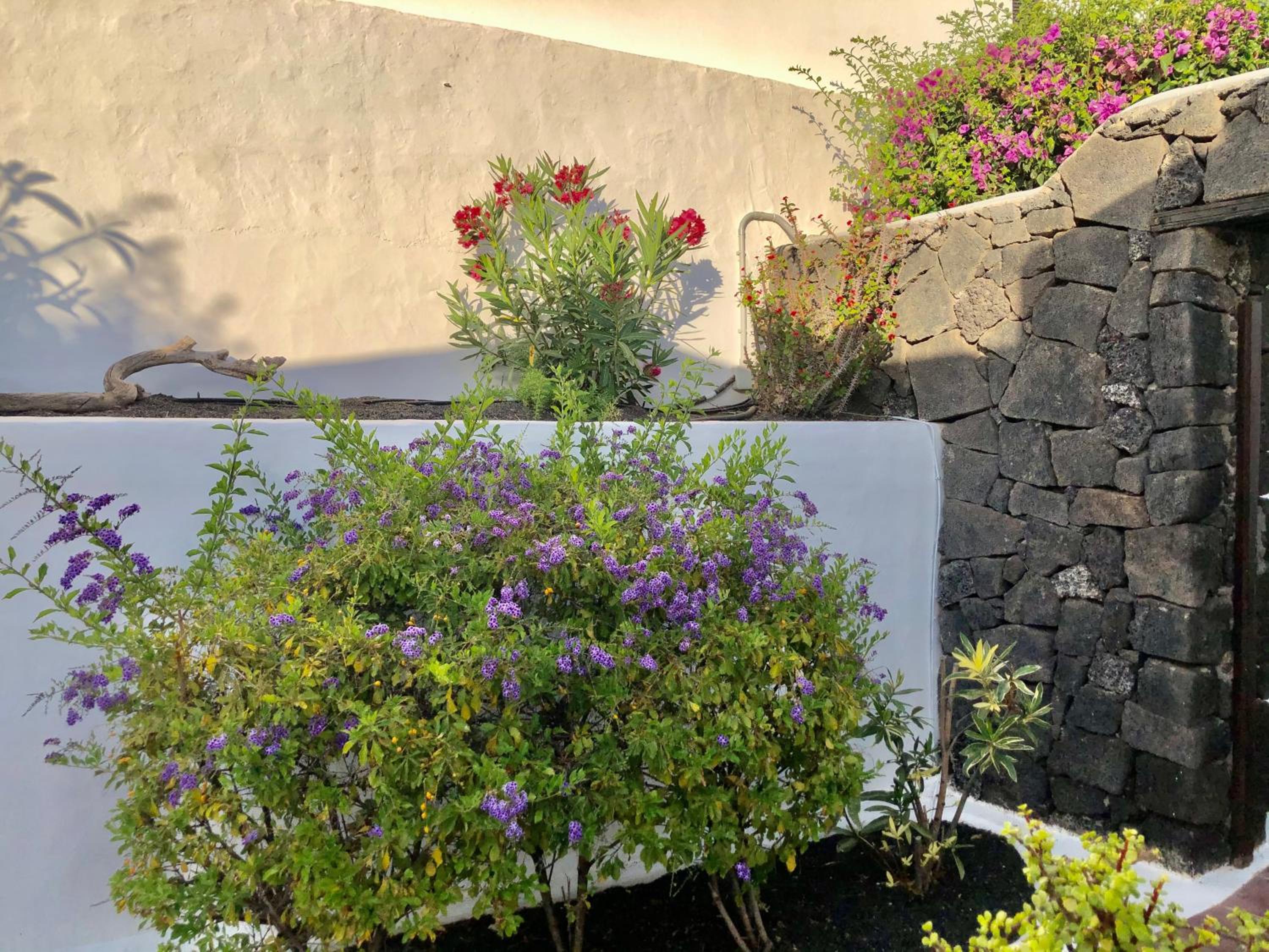 other