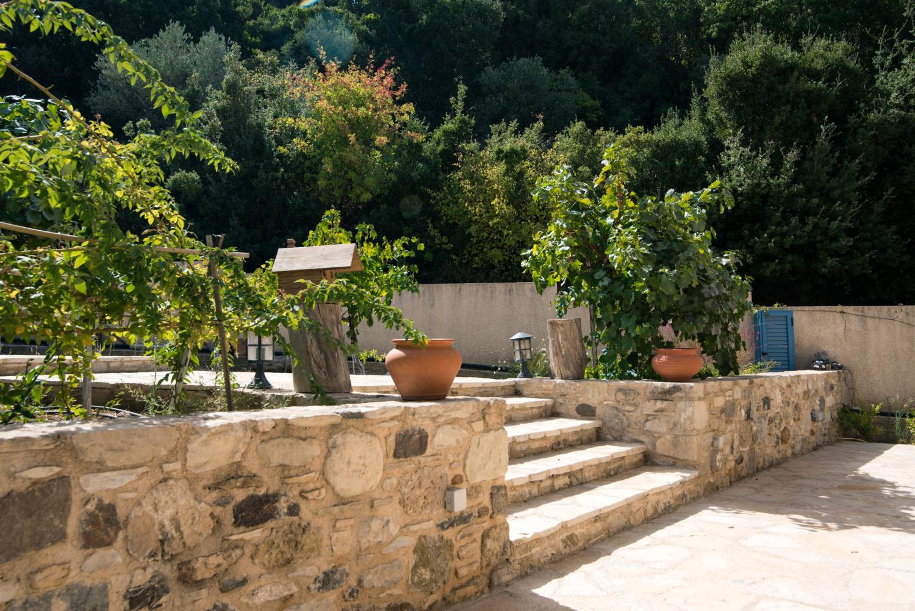 Chaihoutes stone villa into Olive farm in Zia