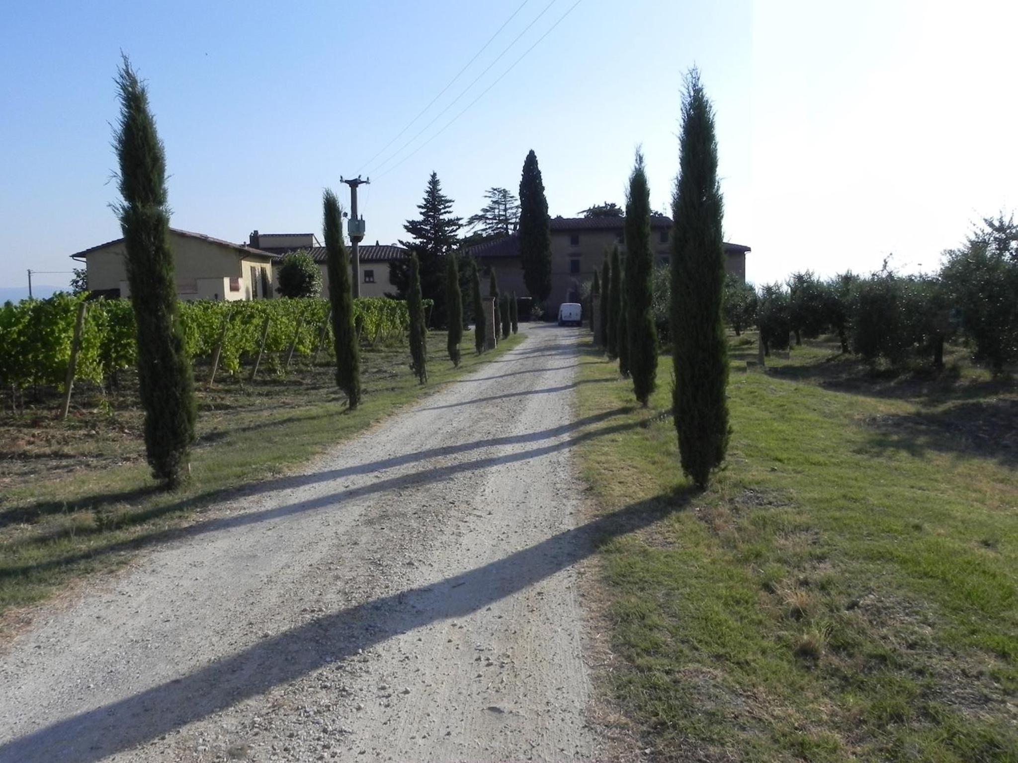 Agriturismo Le Ginestruzze