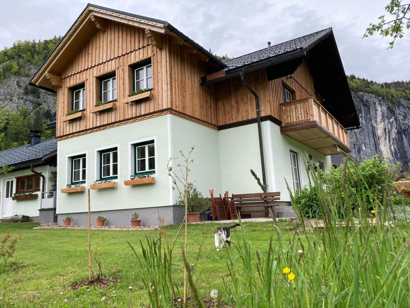 Egglmeier's Ferienwohnung view 4