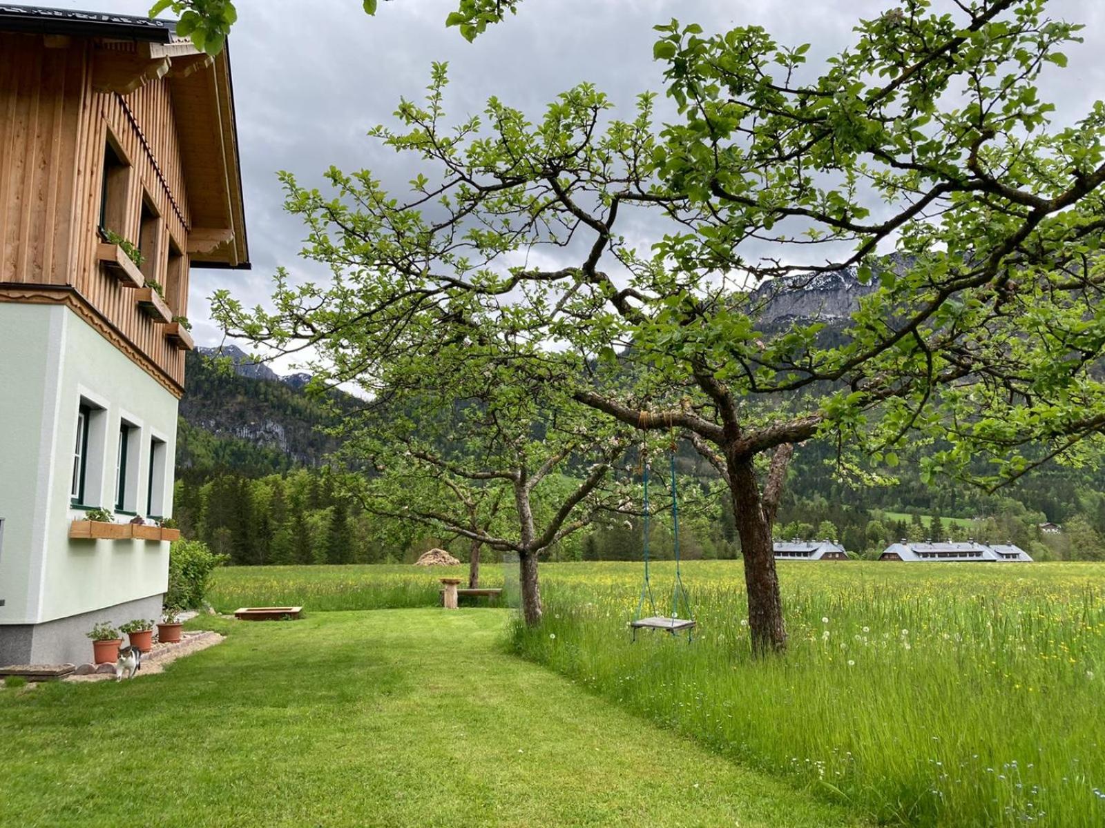Egglmeier's Ferienwohnung view 5