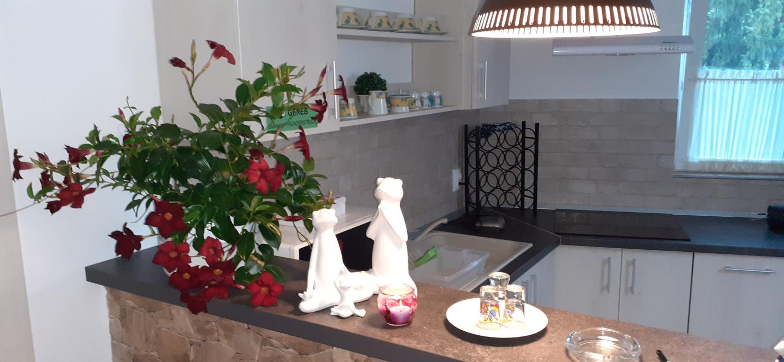 Raza Soarelui apartament de lux view 5