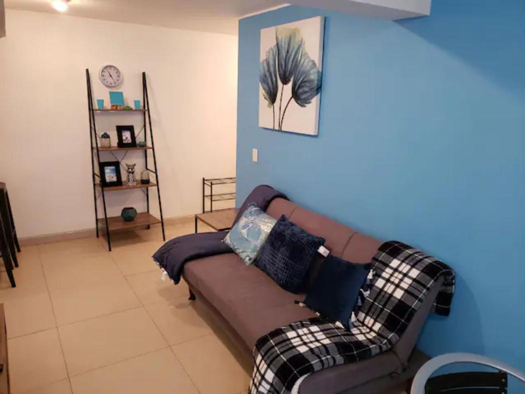 Terraza, Centrico WTC, Condesa, pet friendly photo 5