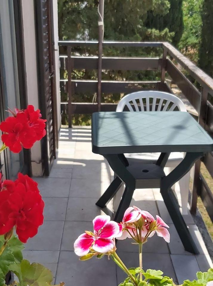 Apartmani Svitlana