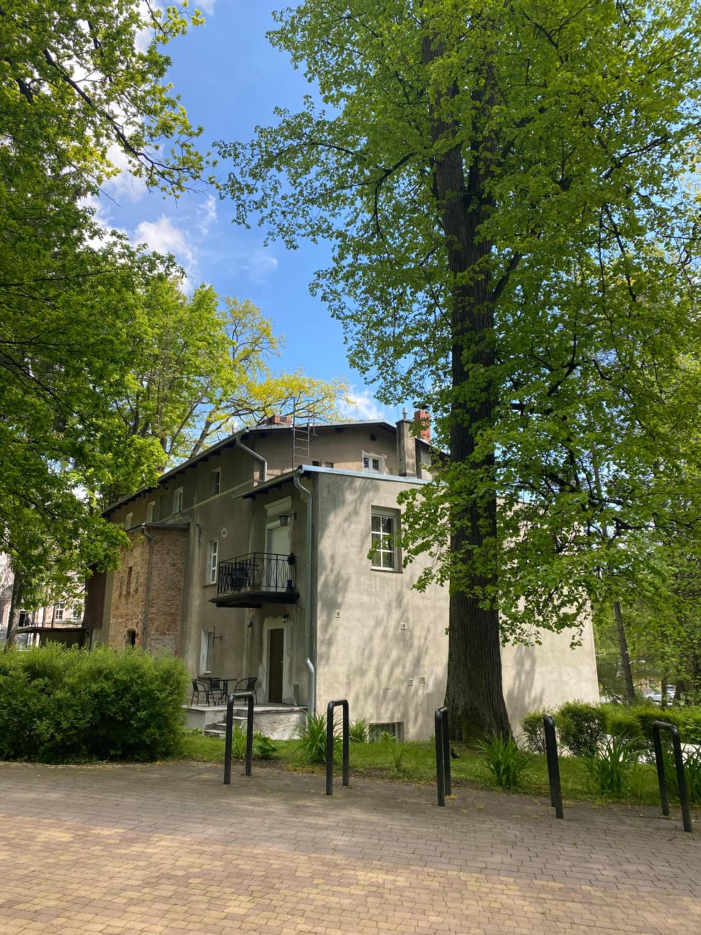 Photo 23