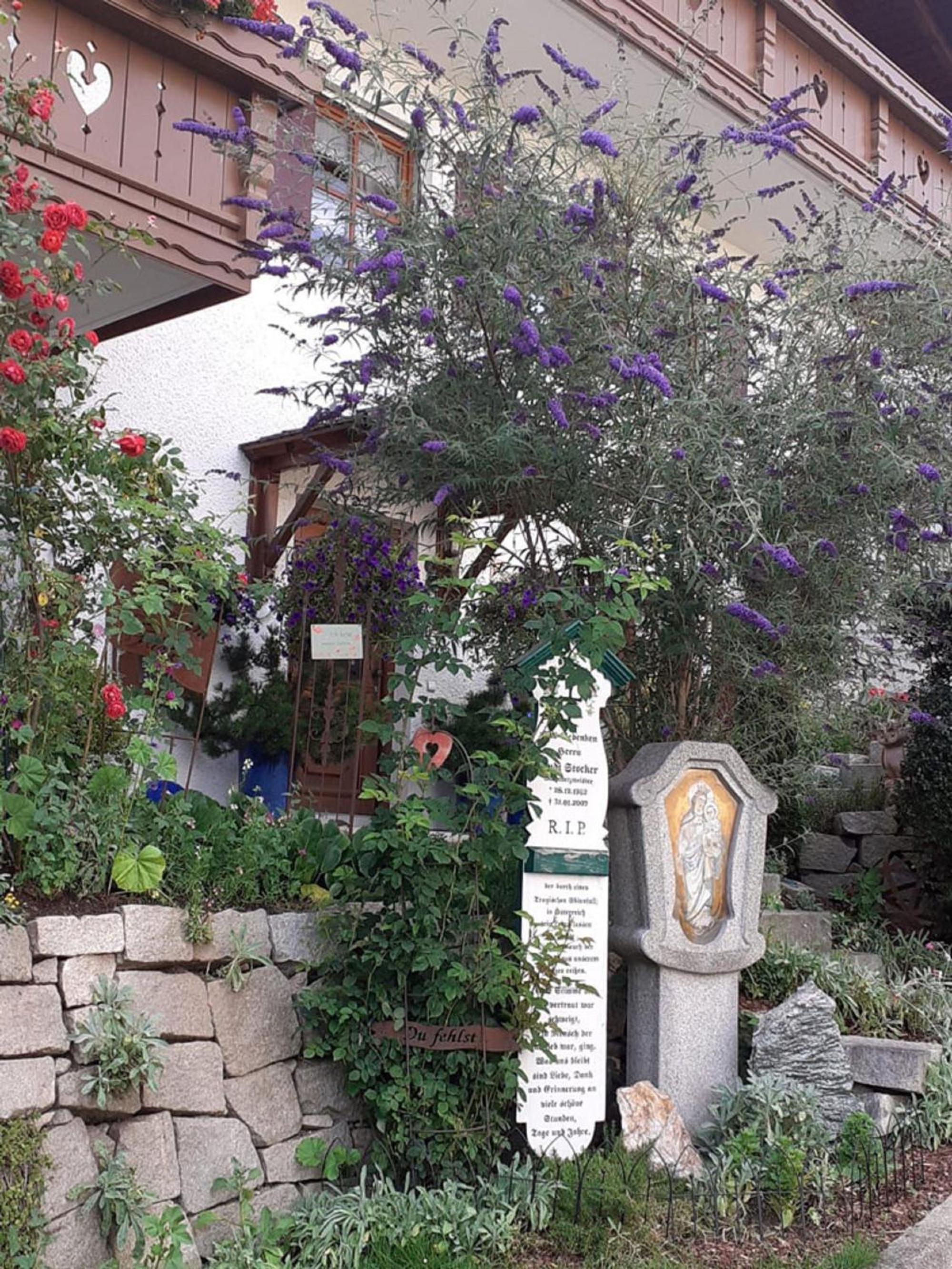 Photo 36