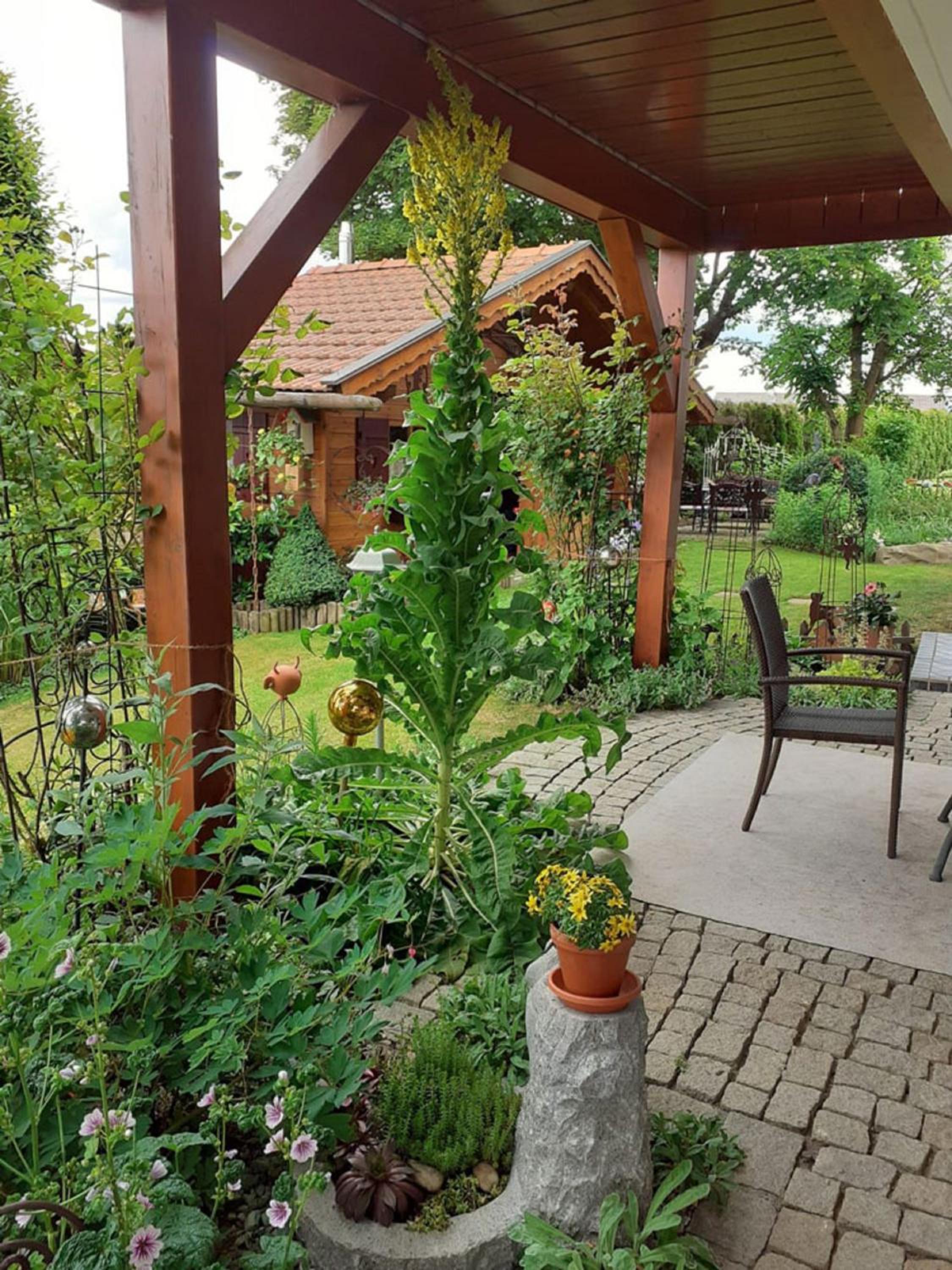 Photo 16