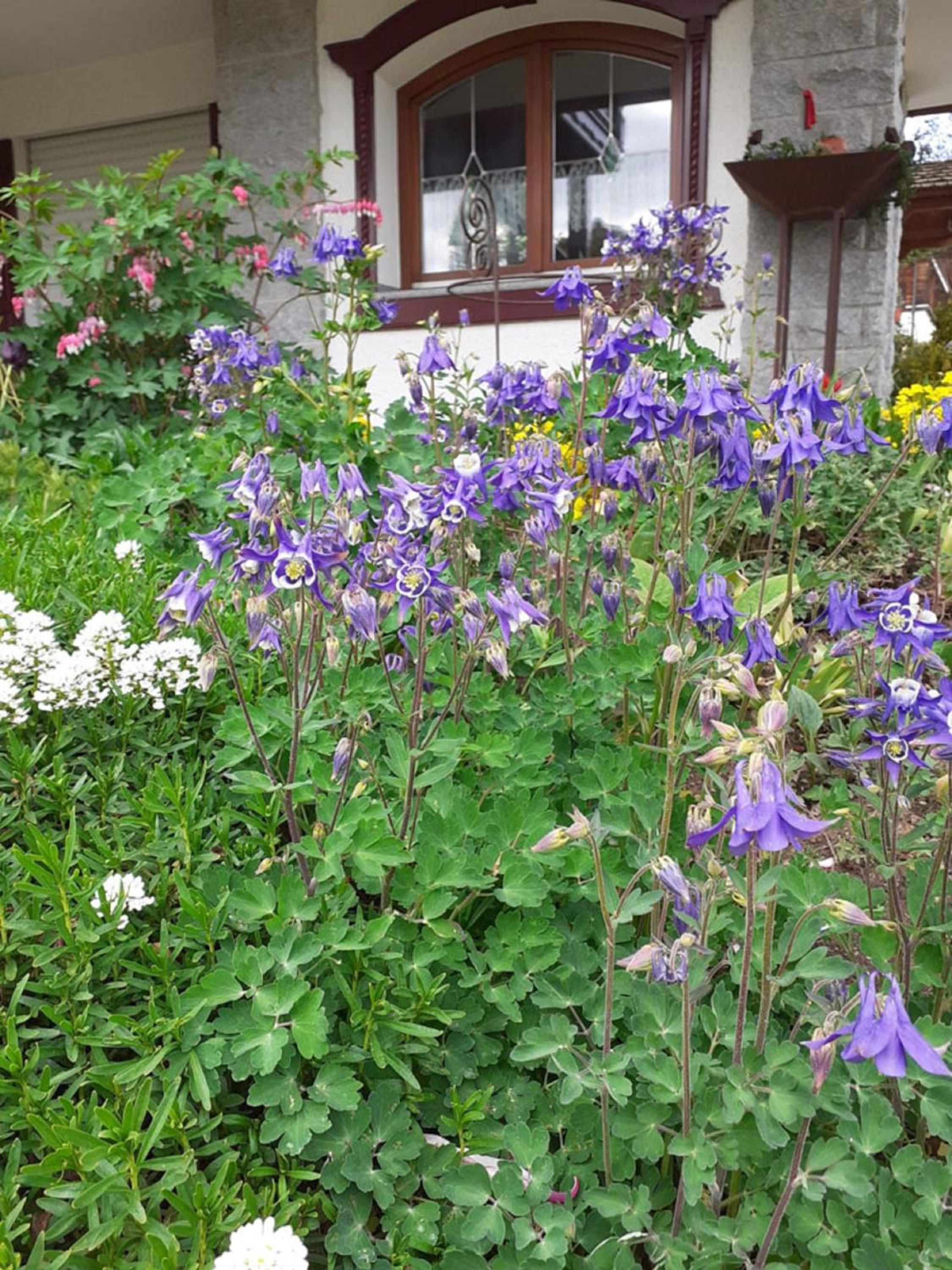 Photo 31