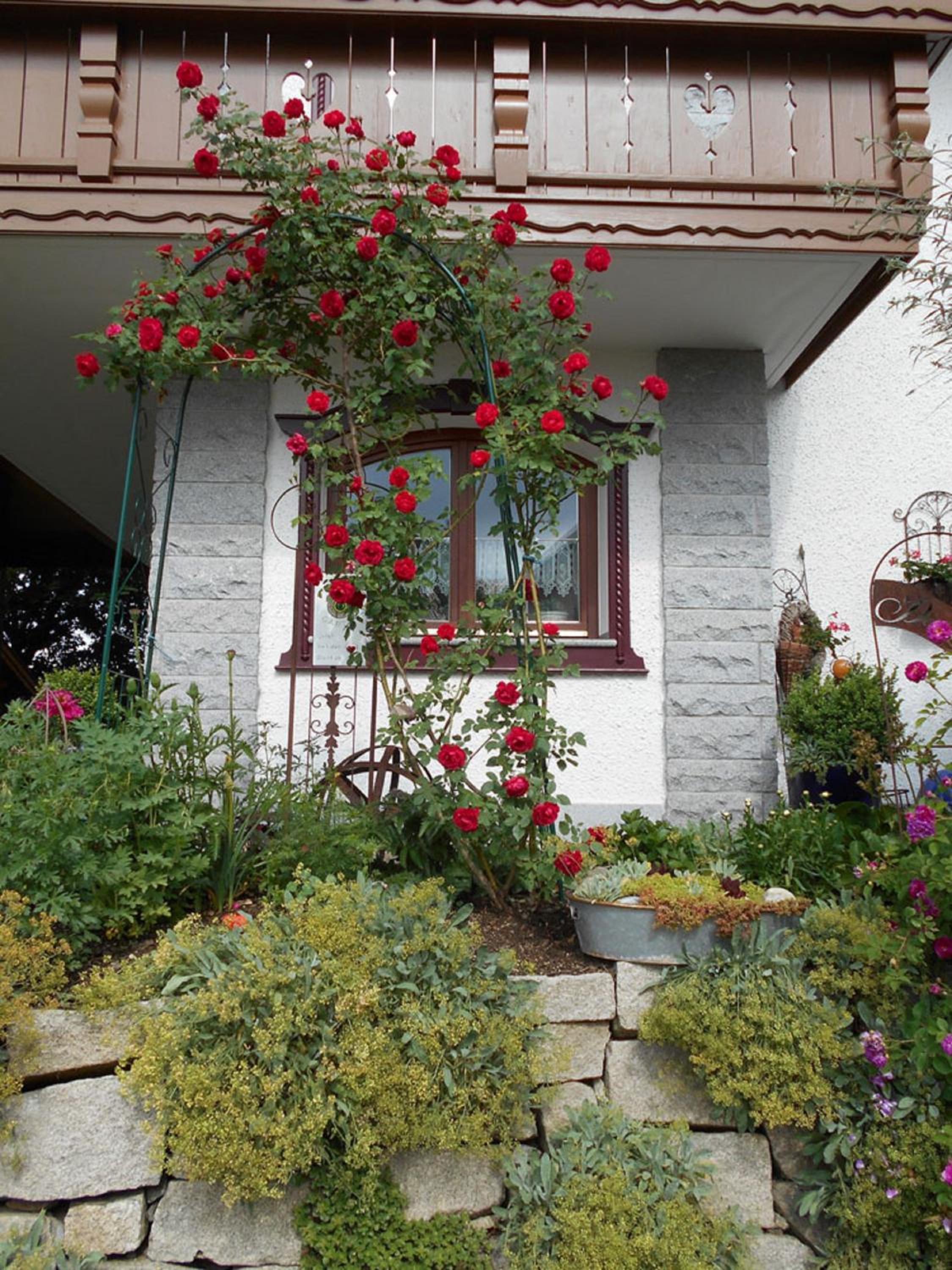 Photo 28