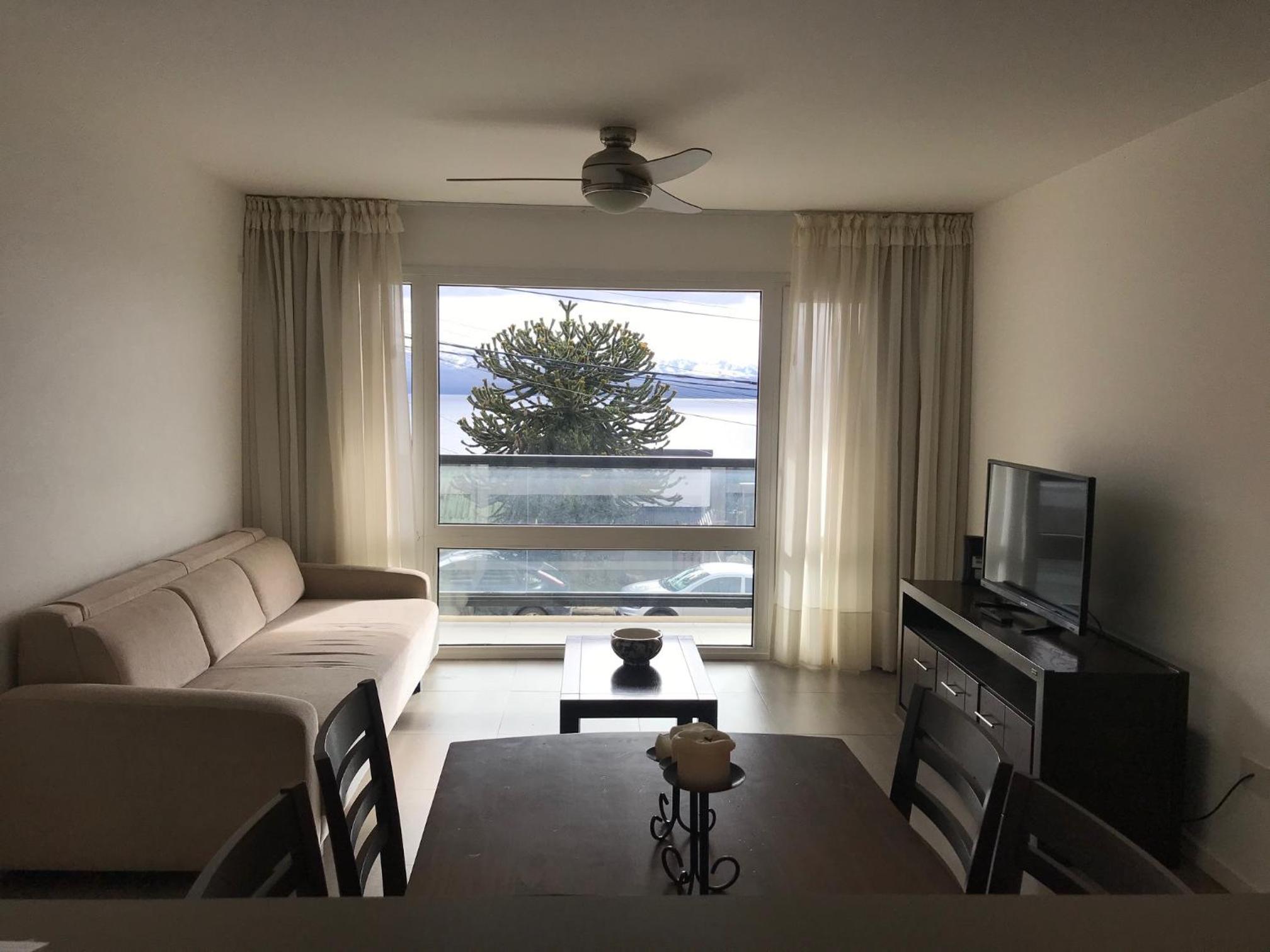 Araucaria
