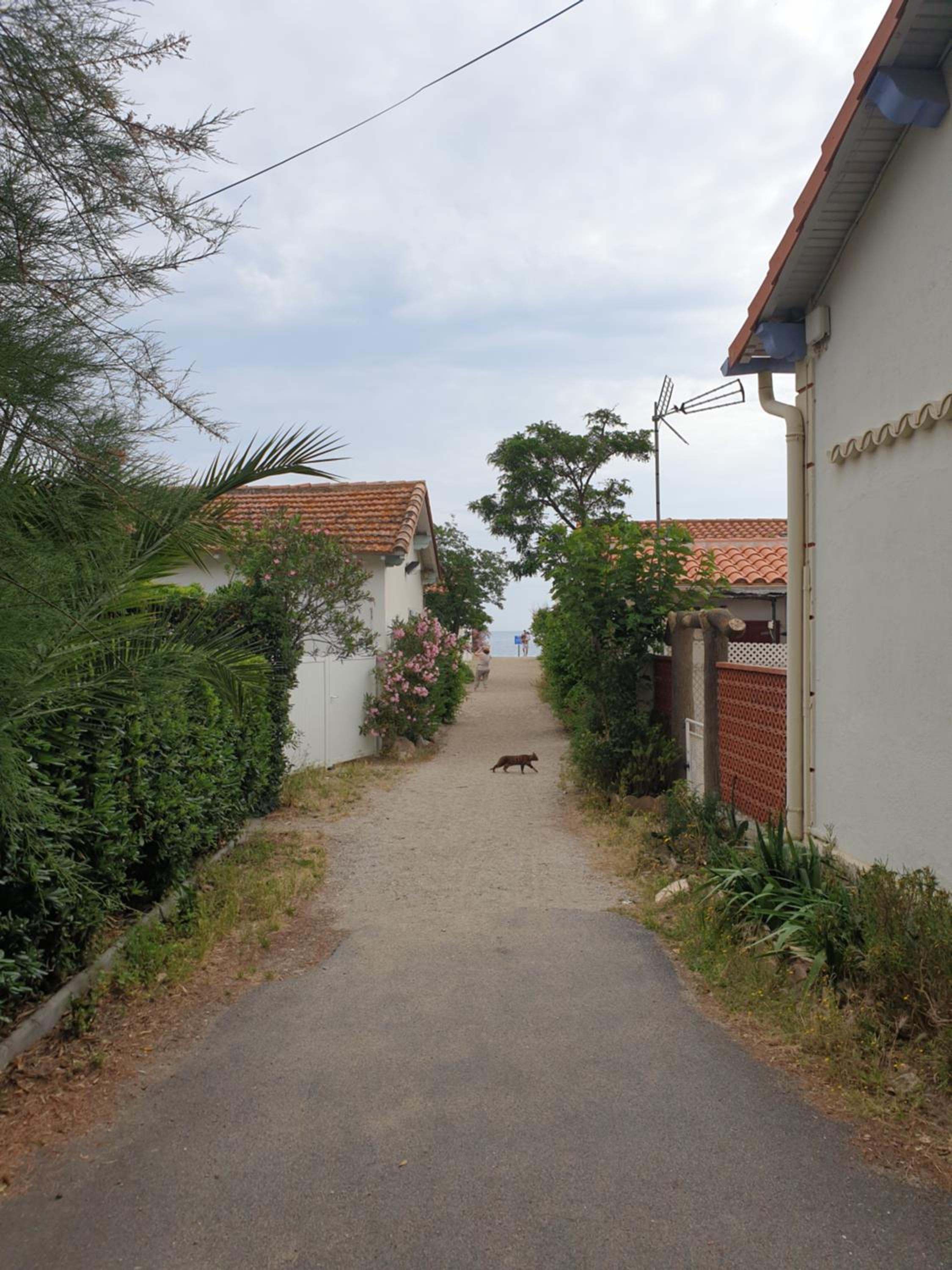 Photo 34