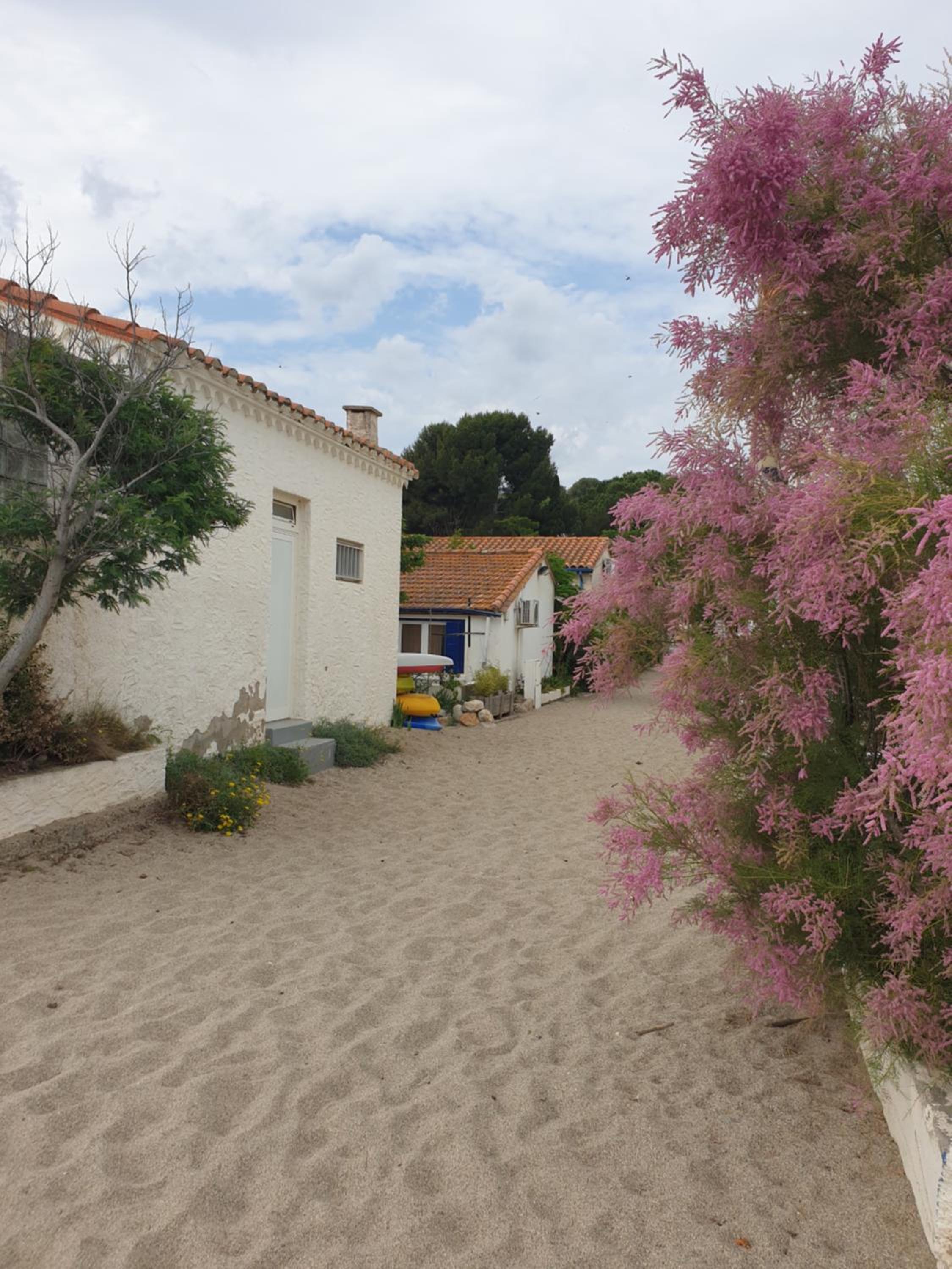 Mas del Roumany, photo 45