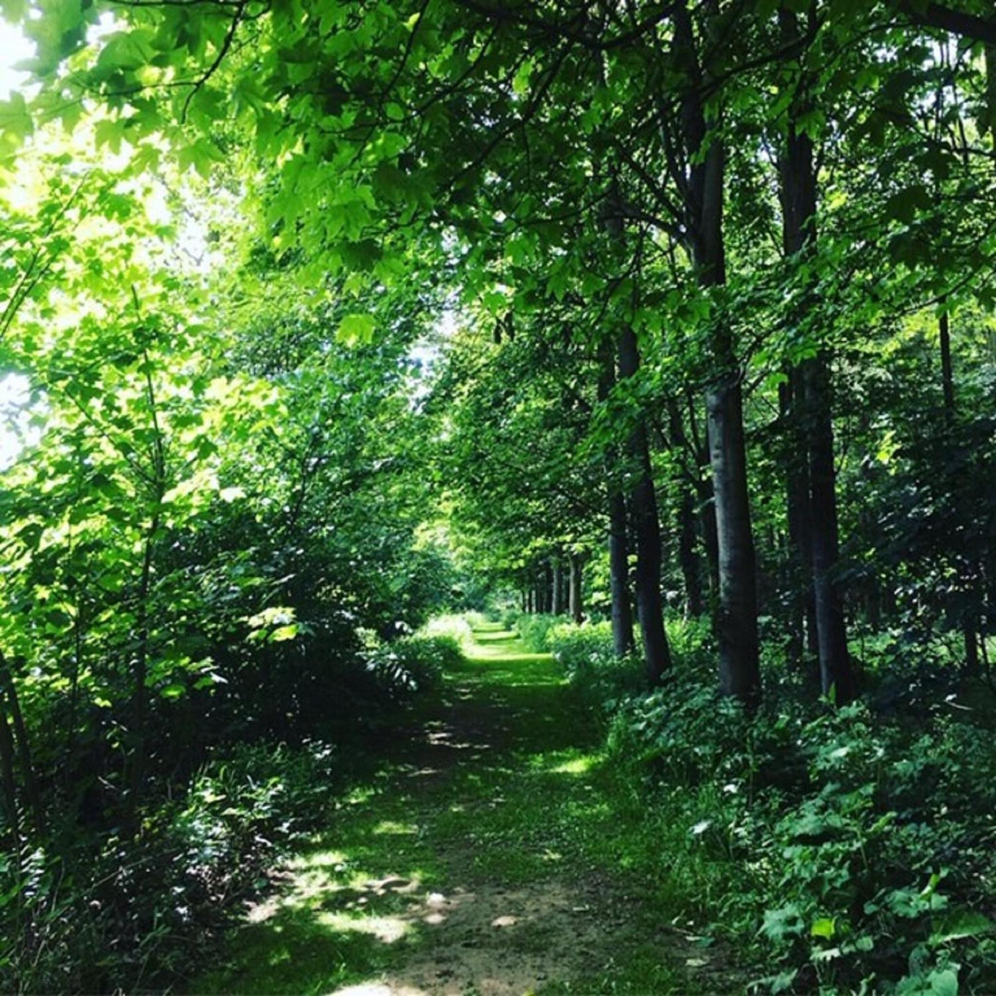 Photo 43