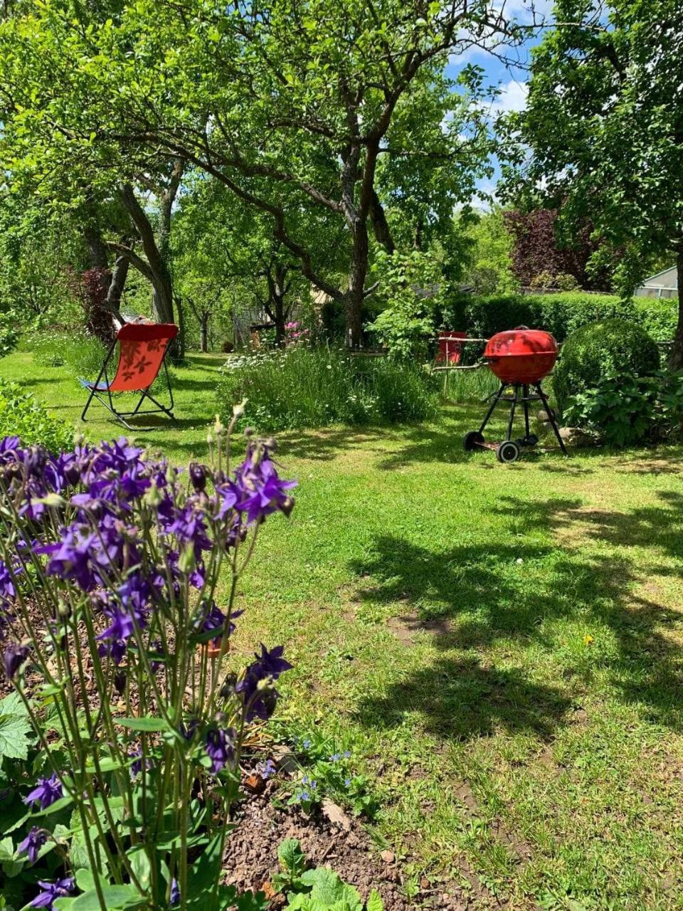 Ferienwohnung am Obstgarten - Property Image 2