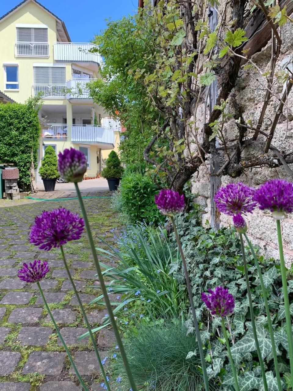 Ferienwohnung am Obstgarten - Property Image 1