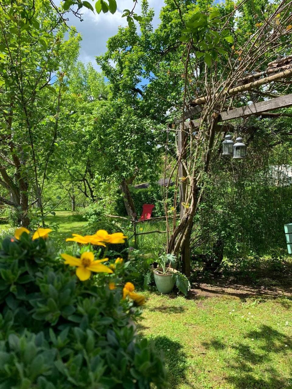 Ferienwohnung am Obstgarten - Property Image 19