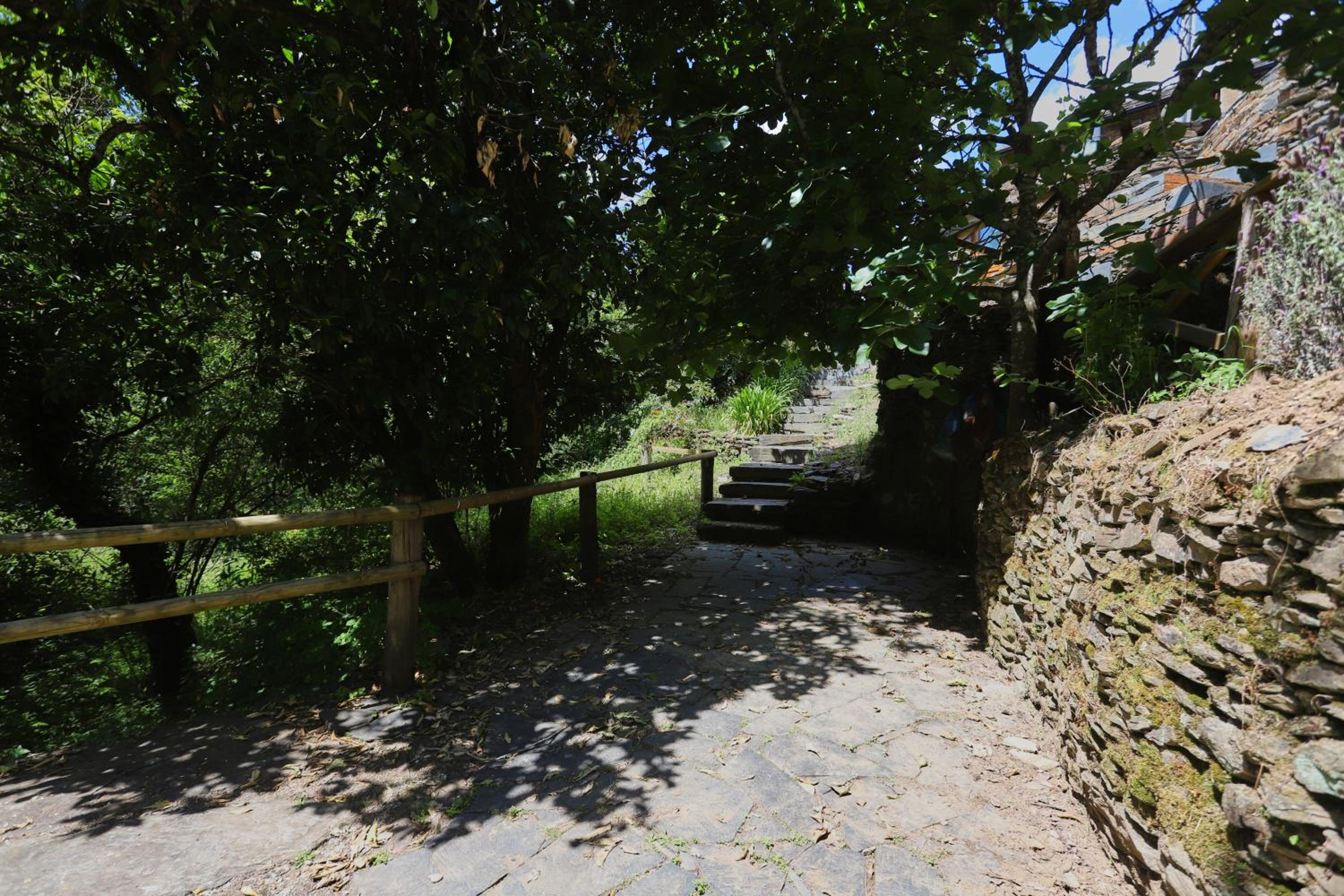 Photo 36