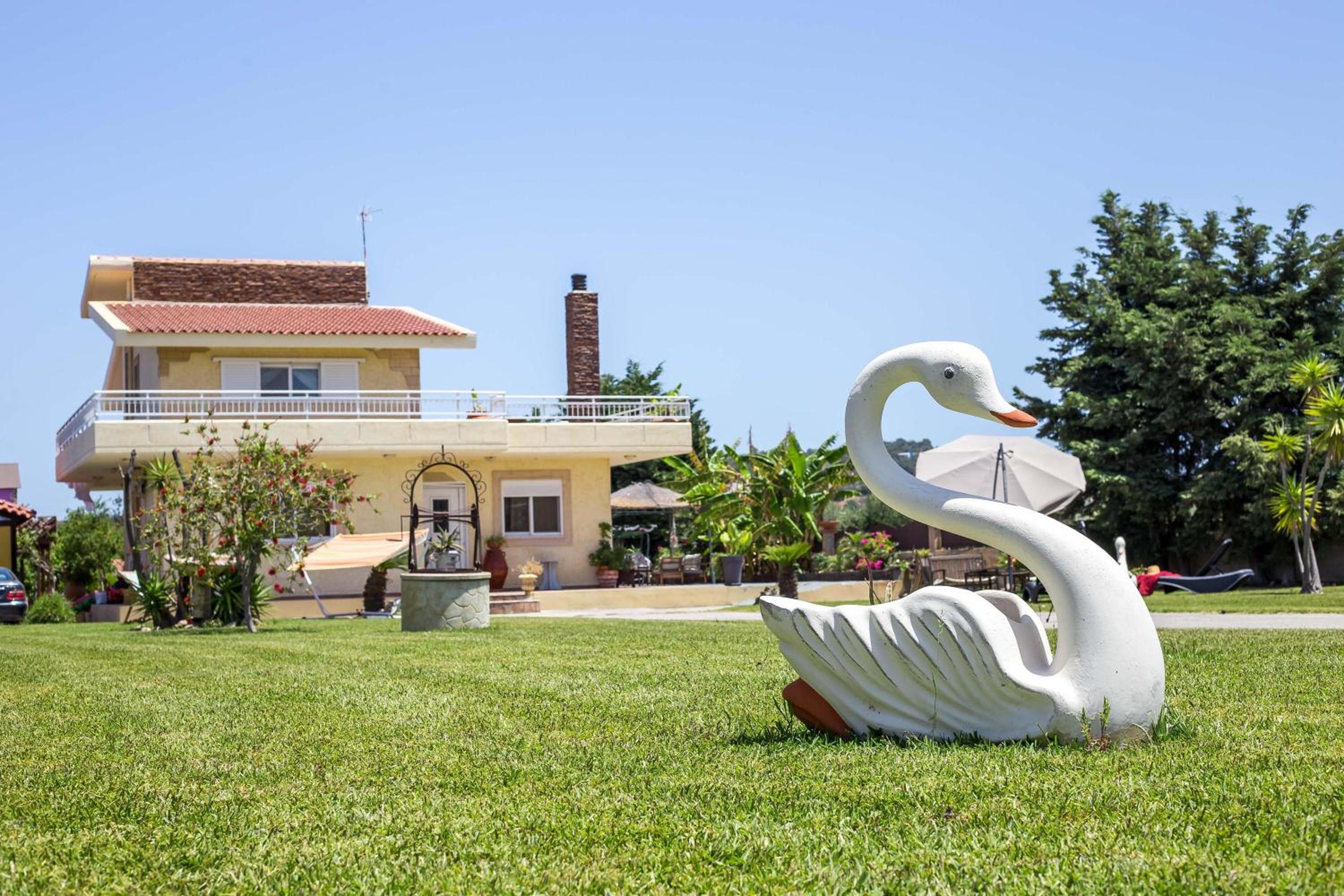 Photo 43