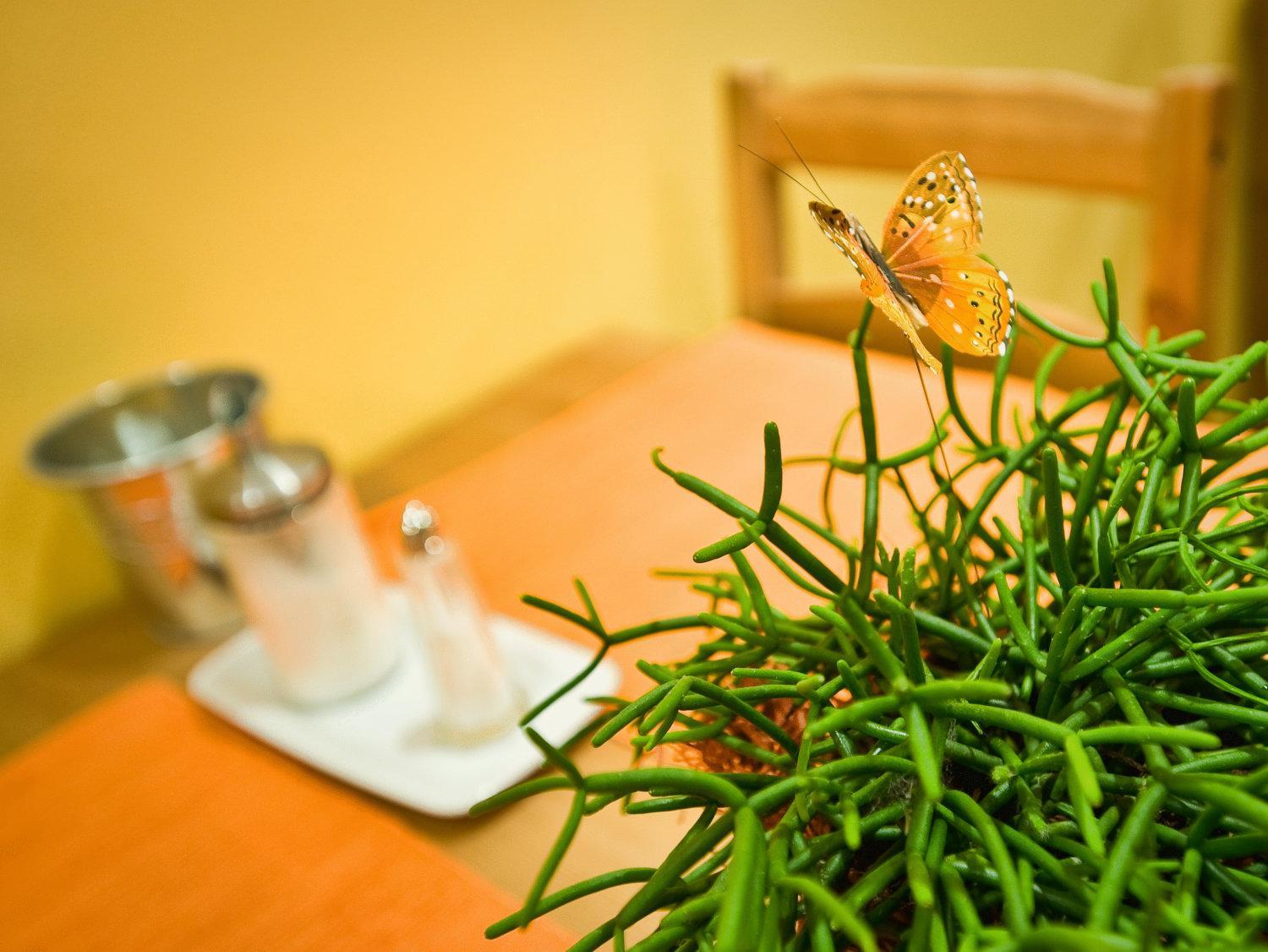 Delanta ubytování & wellness