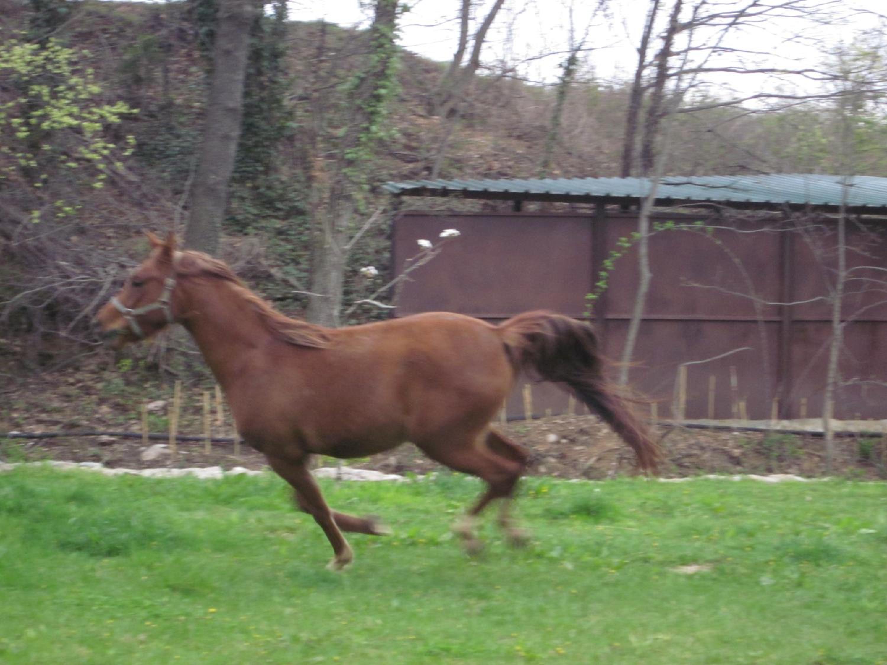 Photo 40