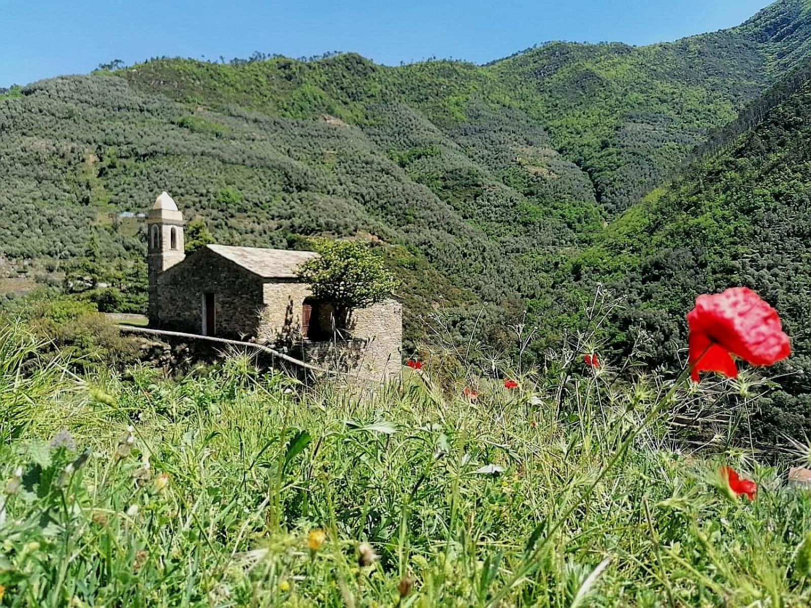 Photo 21