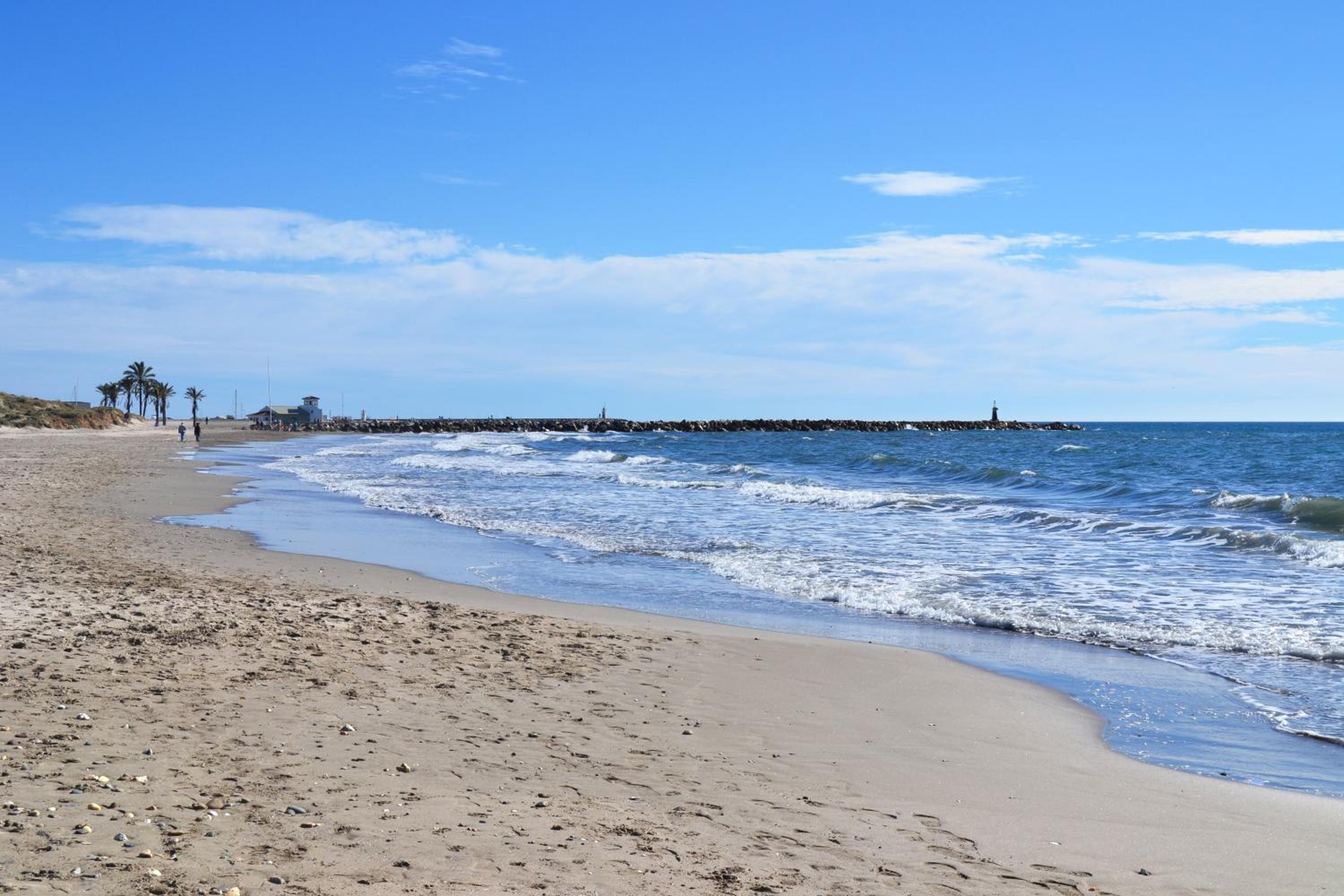 Luxury garden apartment - walking distance to the sea view 3