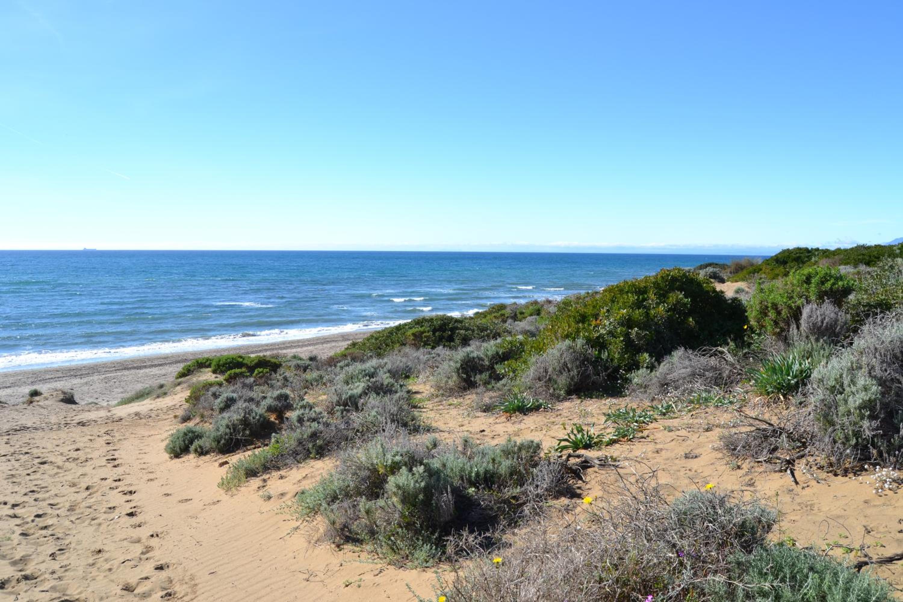 Luxury garden apartment - walking distance to the sea view 4