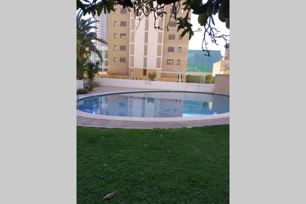 Photo 19