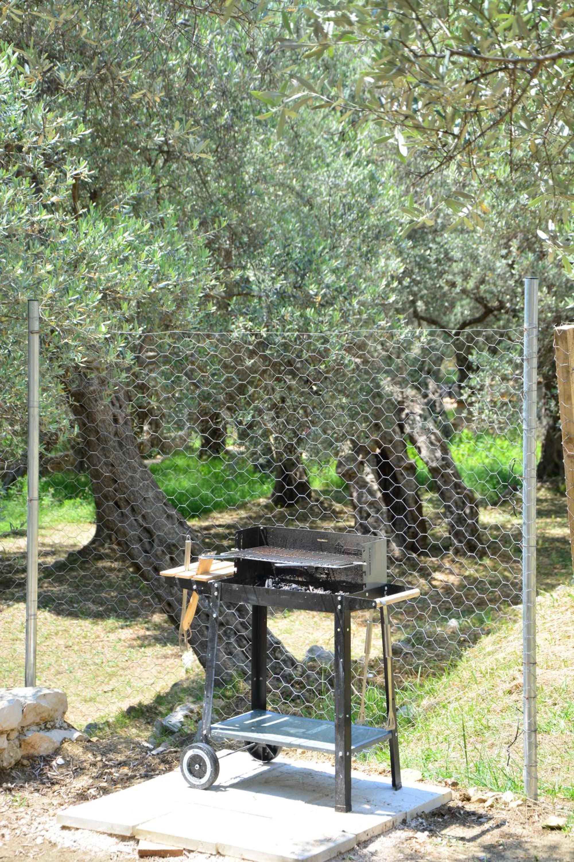 Photo 49
