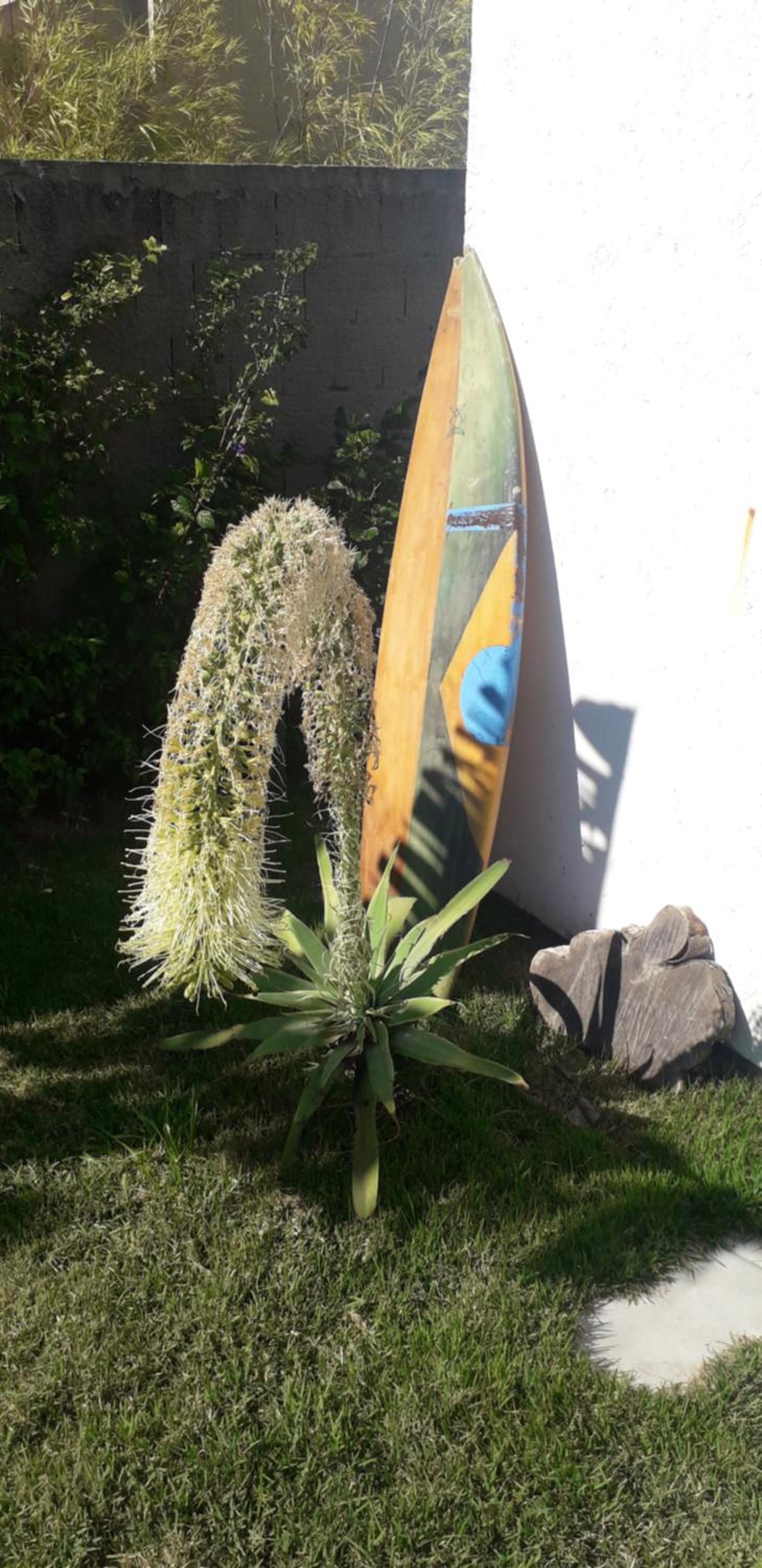 Photo 46