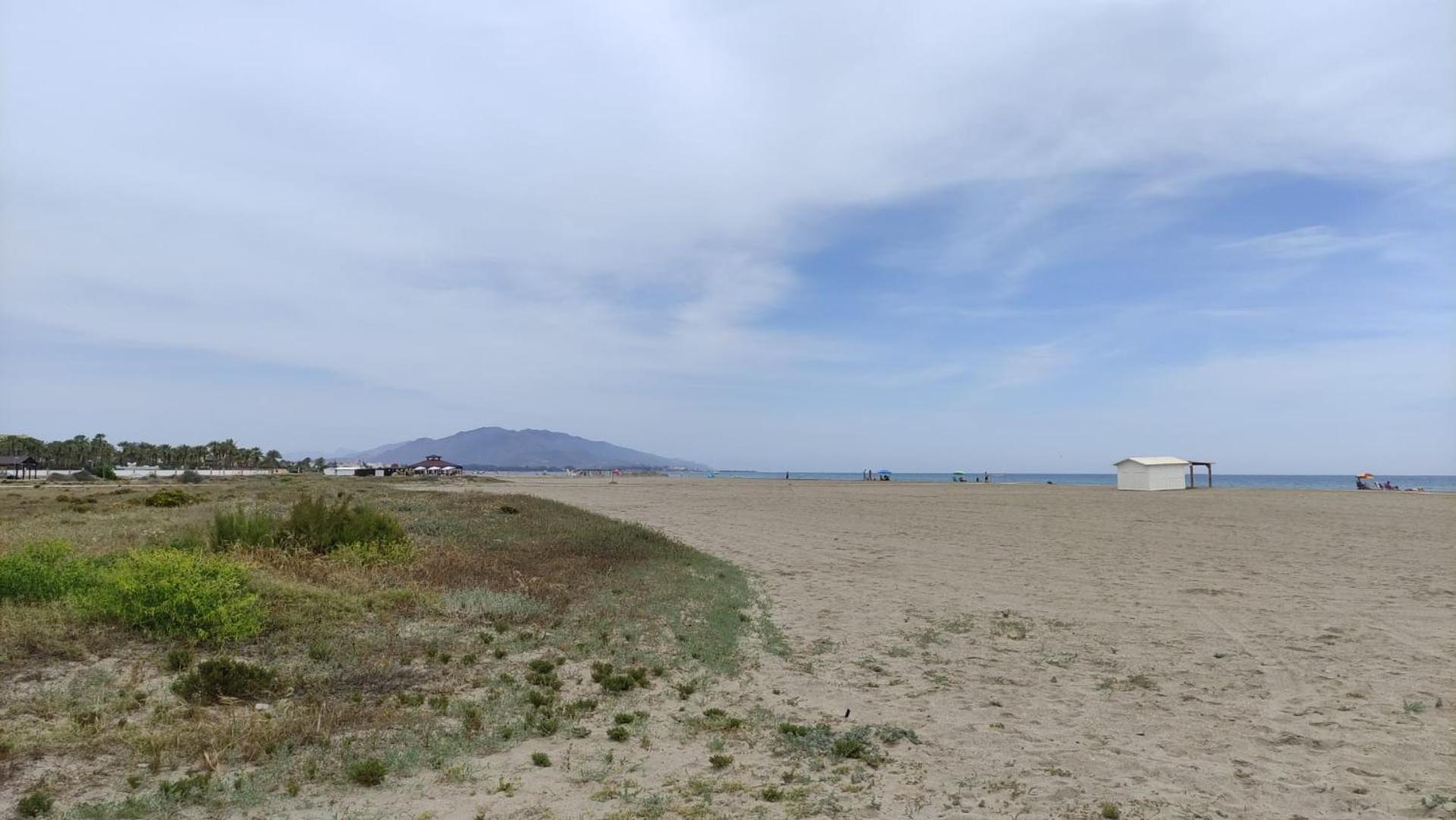 other