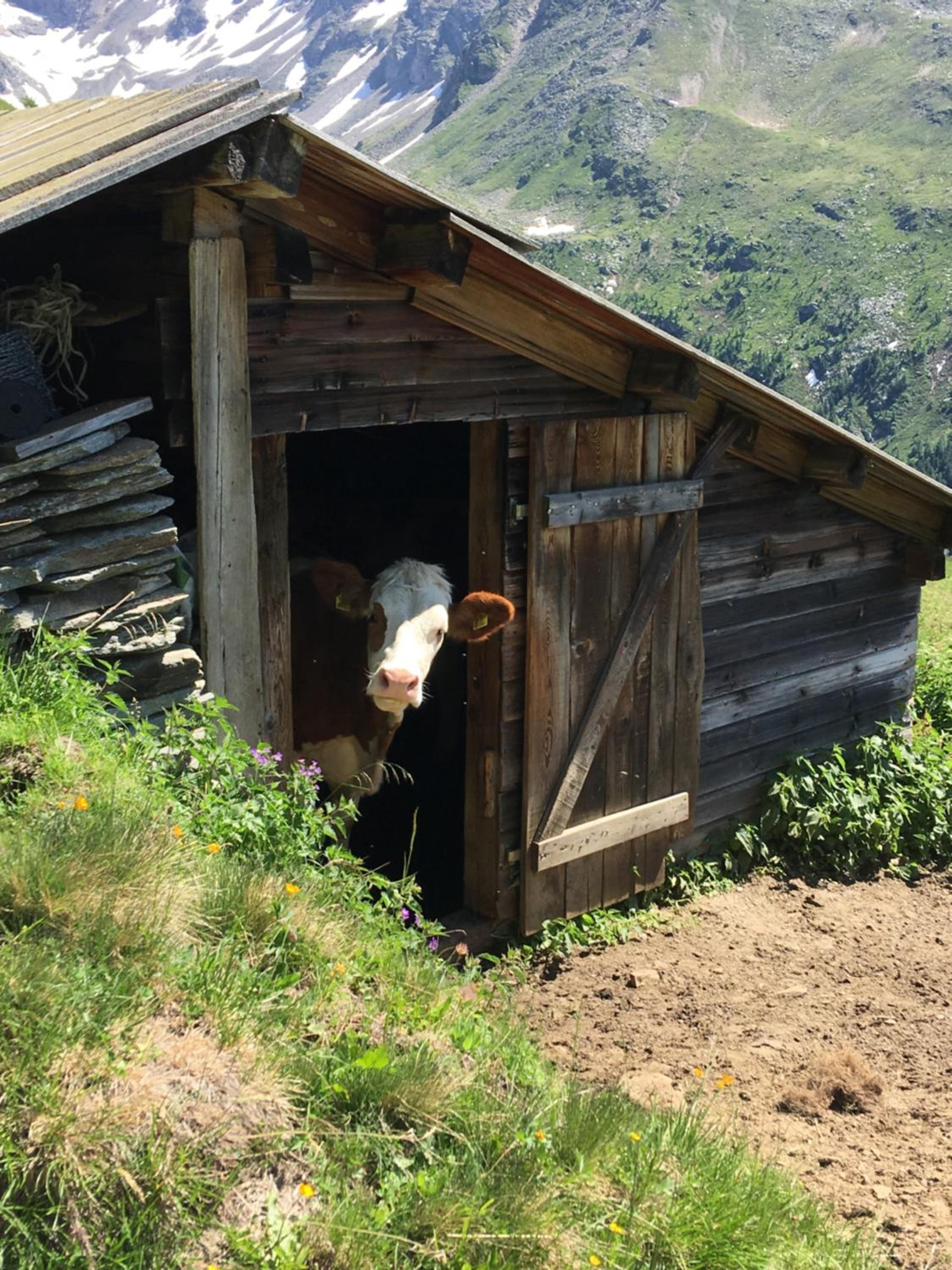 Stoffelehof