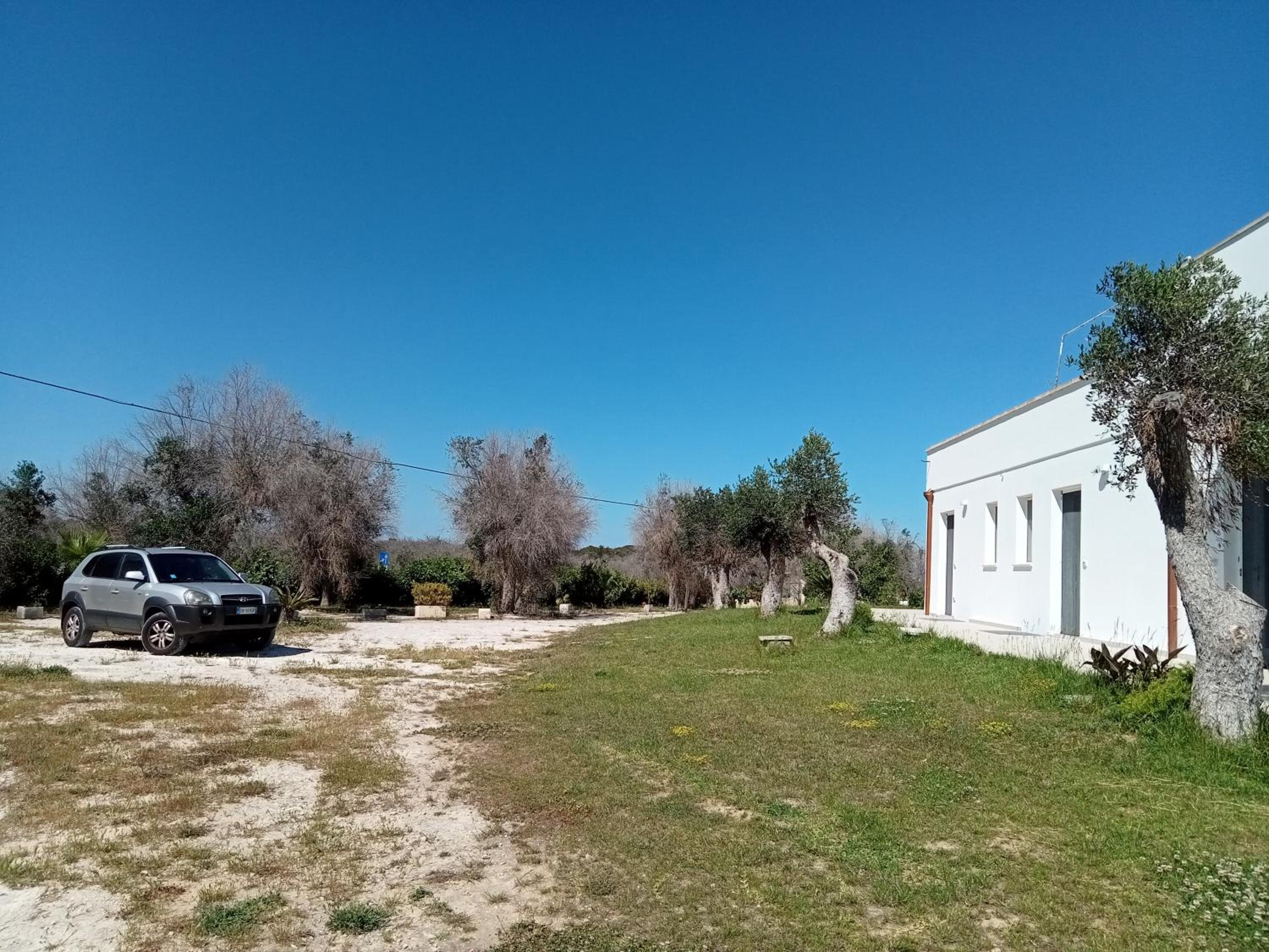 Photo 26
