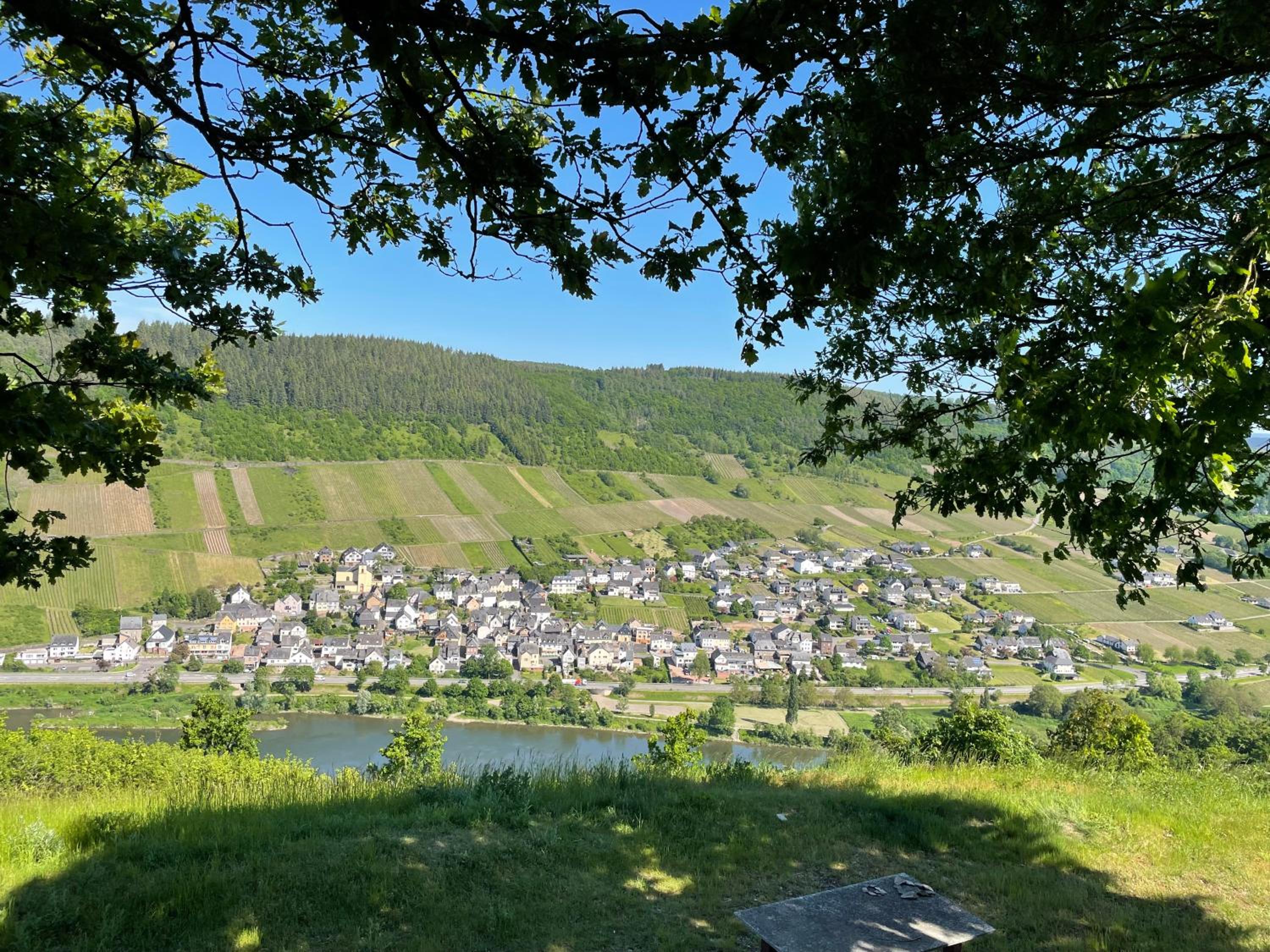 Ferienwohnung Metzen view 3