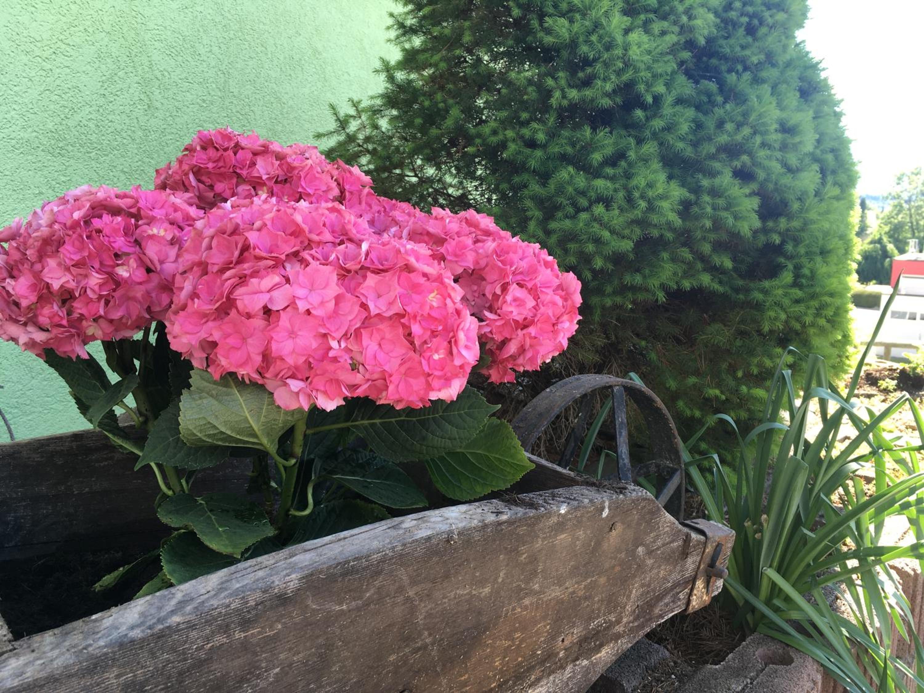 Haus Seerose