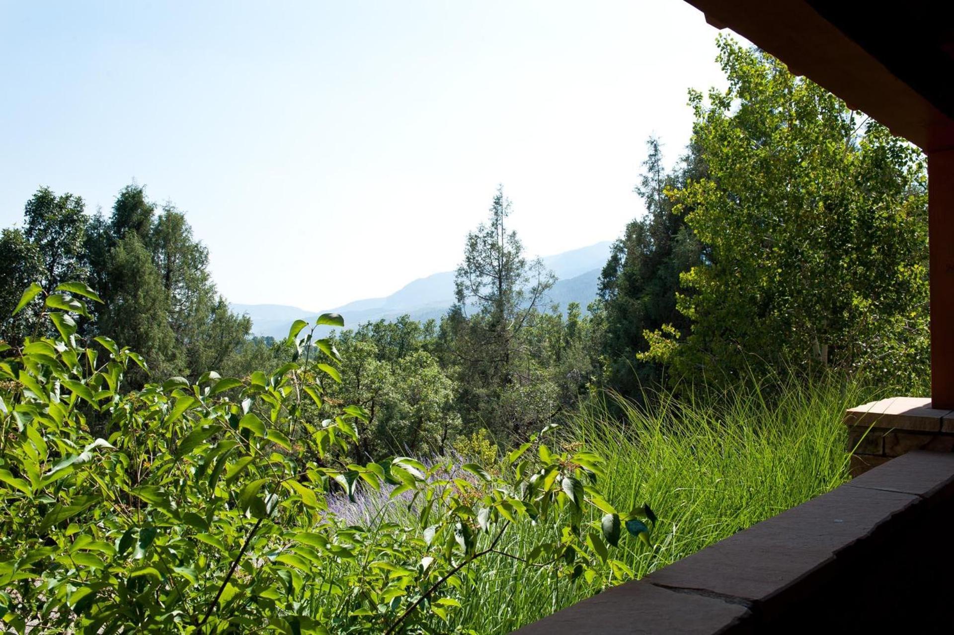 Photo 22