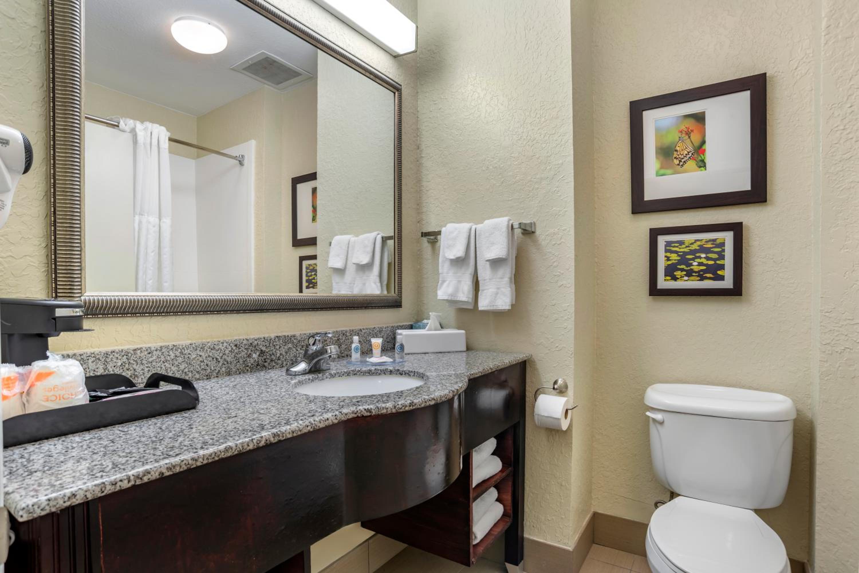 Marianna Vacations - Comfort Inn  Suites Marianna I-10 - Property Image 17