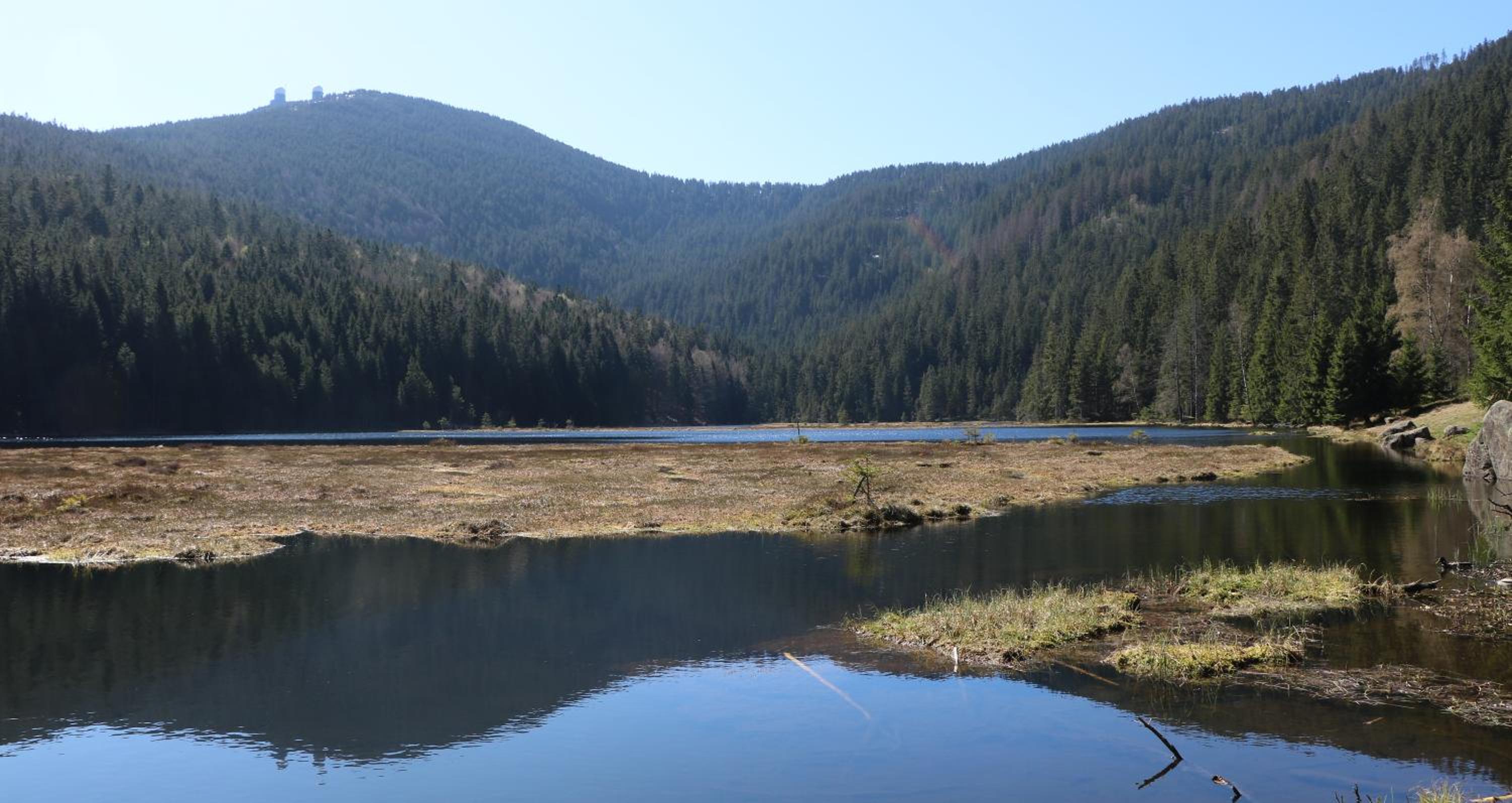 Photo 34