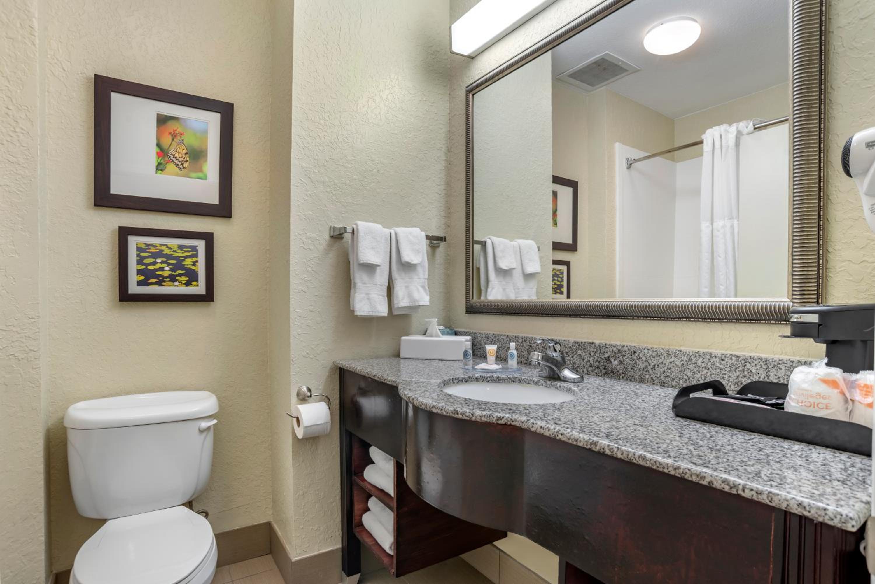 Marianna Vacations - Comfort Inn  Suites Marianna I-10 - Property Image 18
