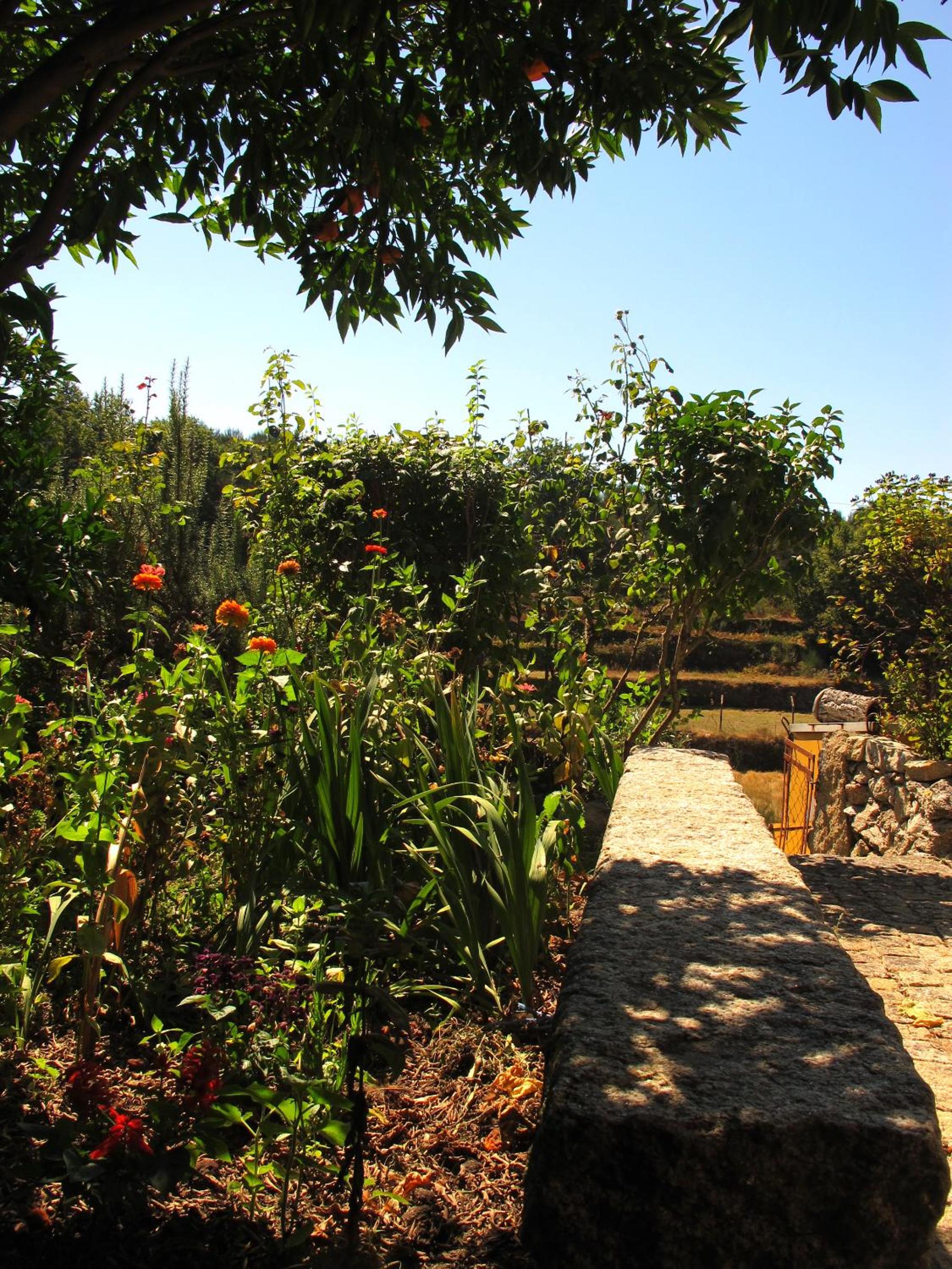 Casa das Lapas view 4