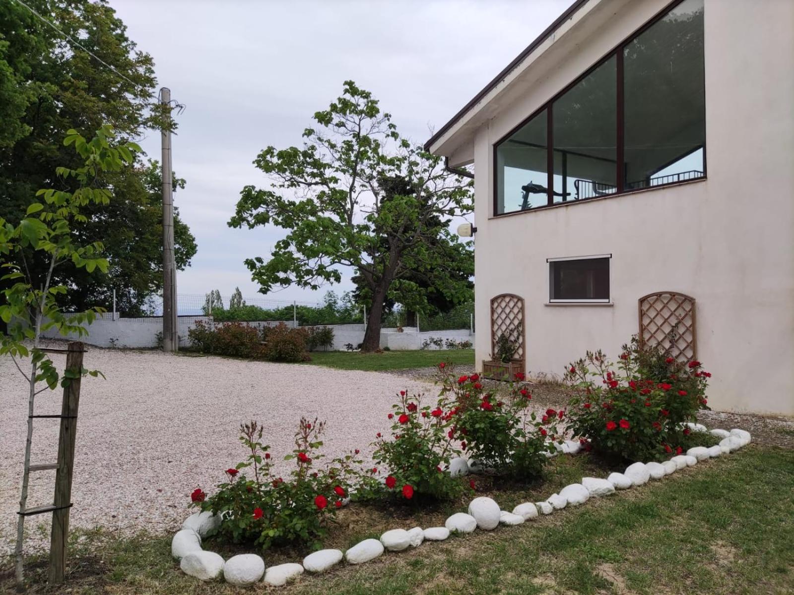 Cara Pace in collina per gruppi view 5